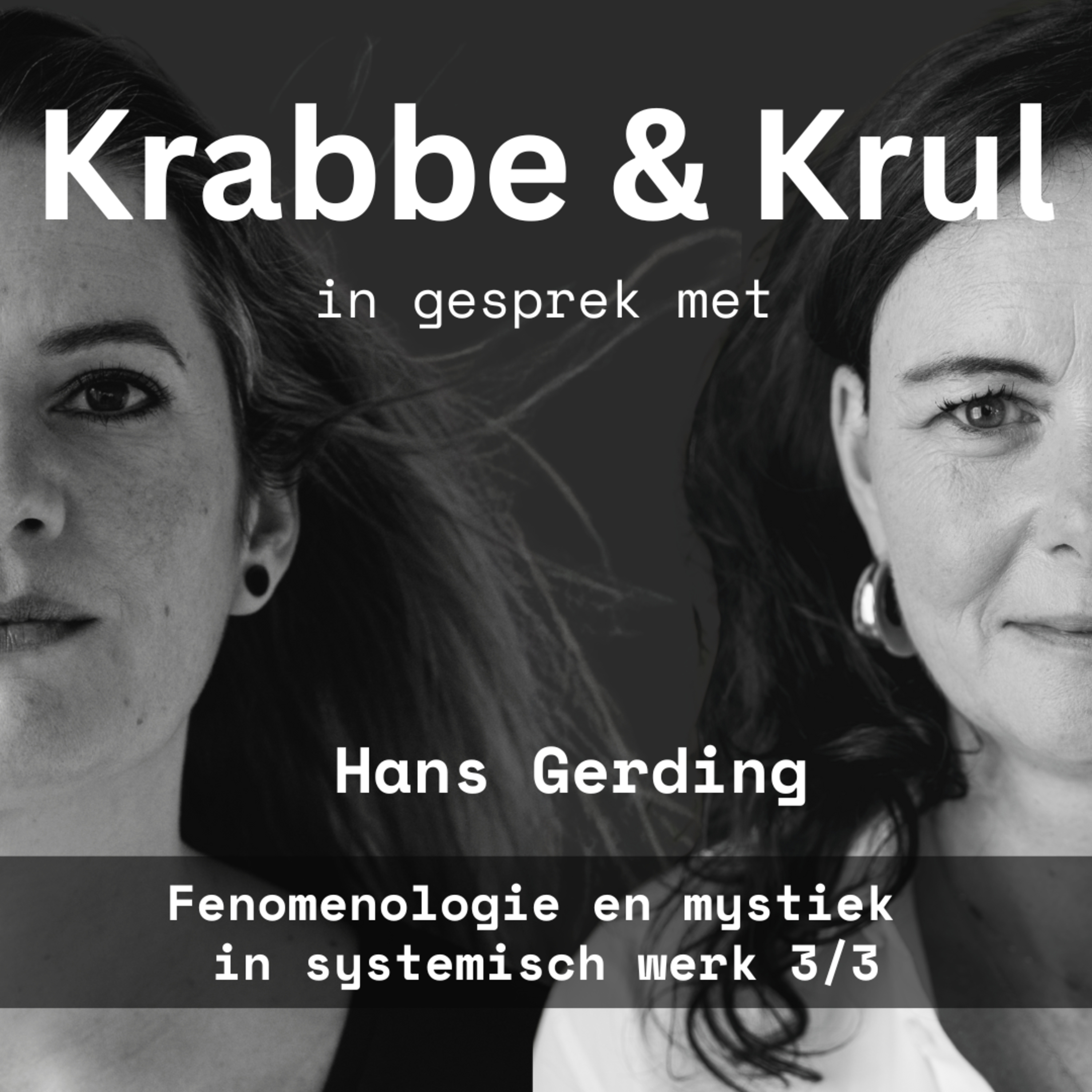 Krabbe & Krul in gesprek met Hans Gerding | Fenomenologie en Mystiek in systemisch werk (3/3)
