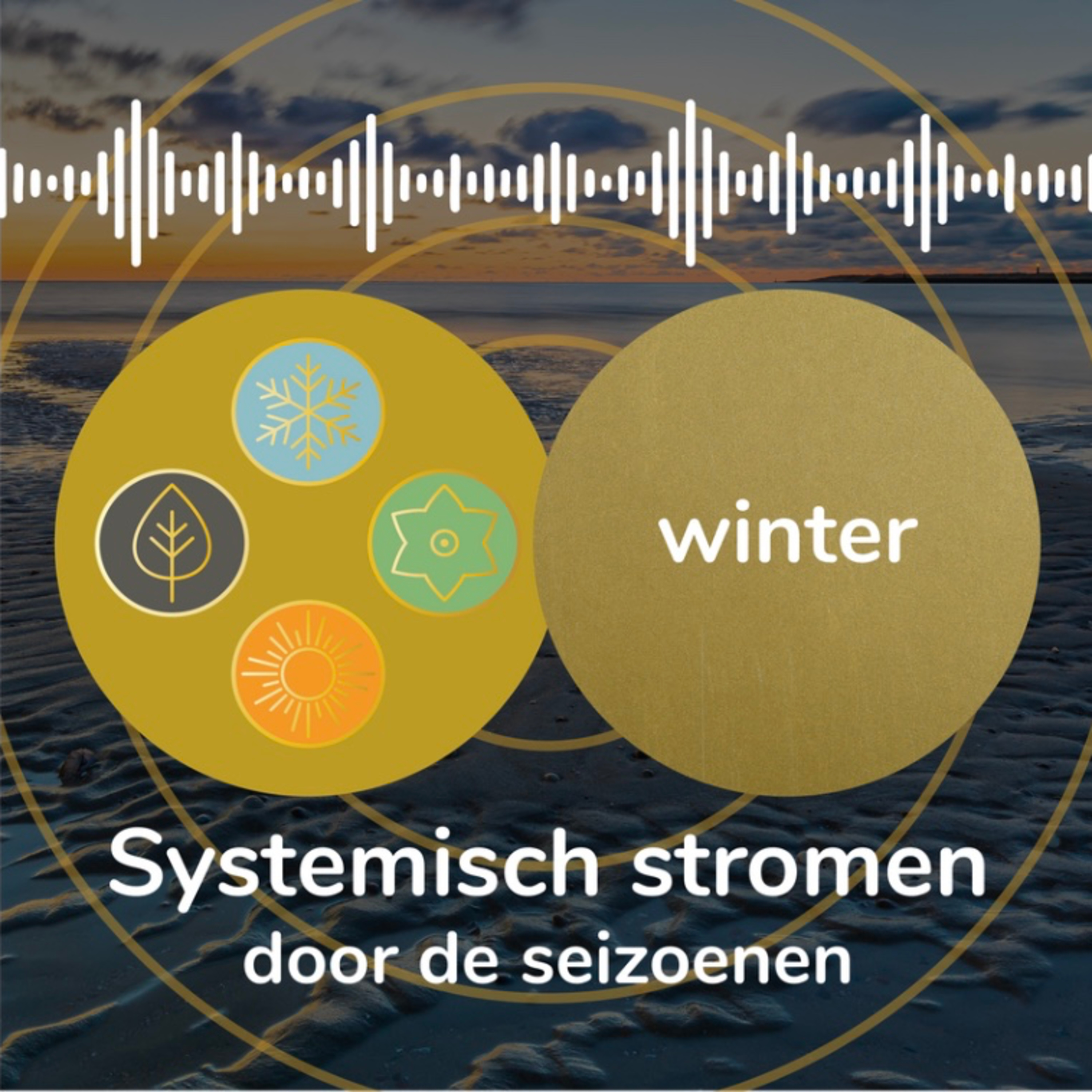 Systemisch Stromen door de Seizoenen in Leven en Werk | Winter 2