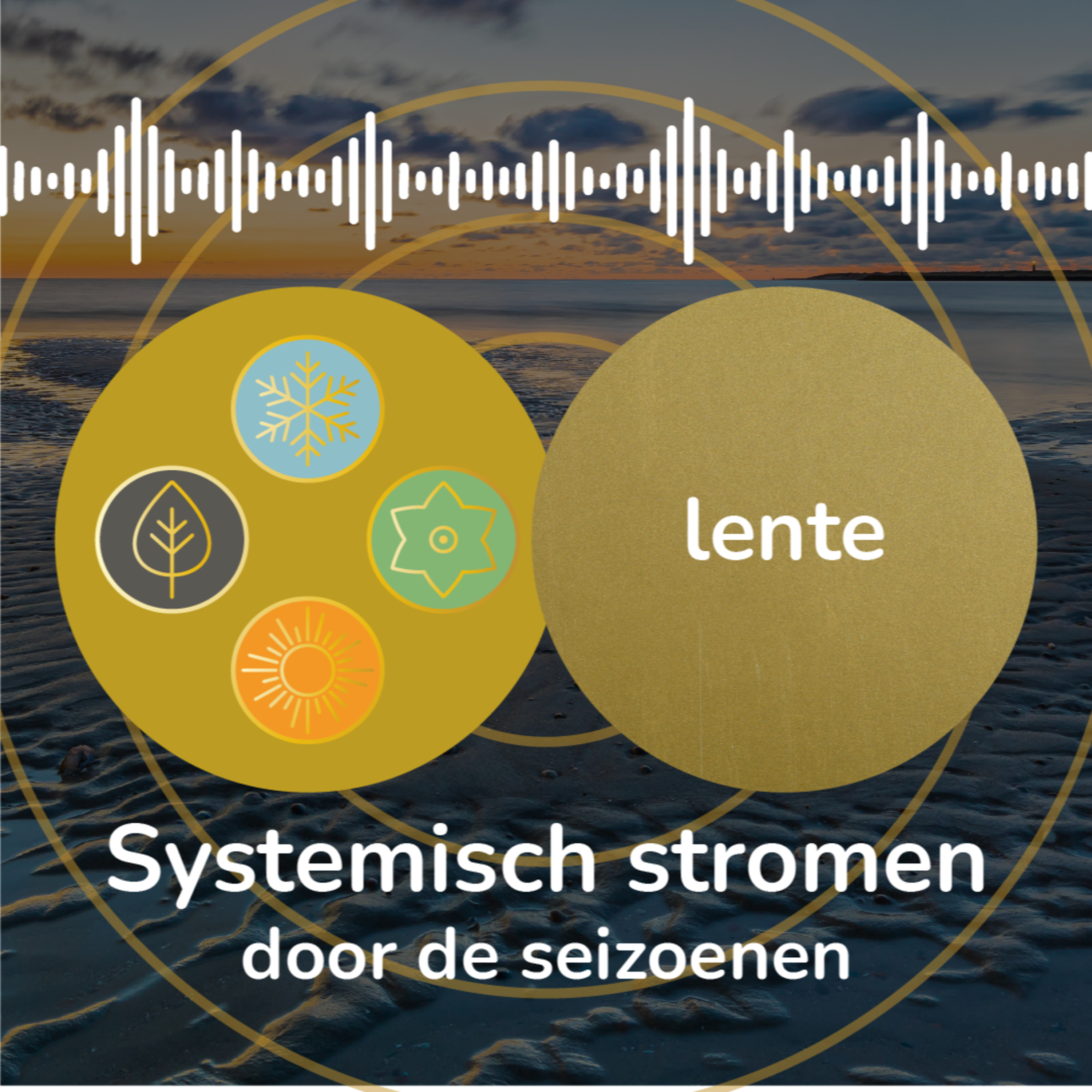 Systemisch Stromen door de Seizoenen in Leven en Werk | Lente 2
