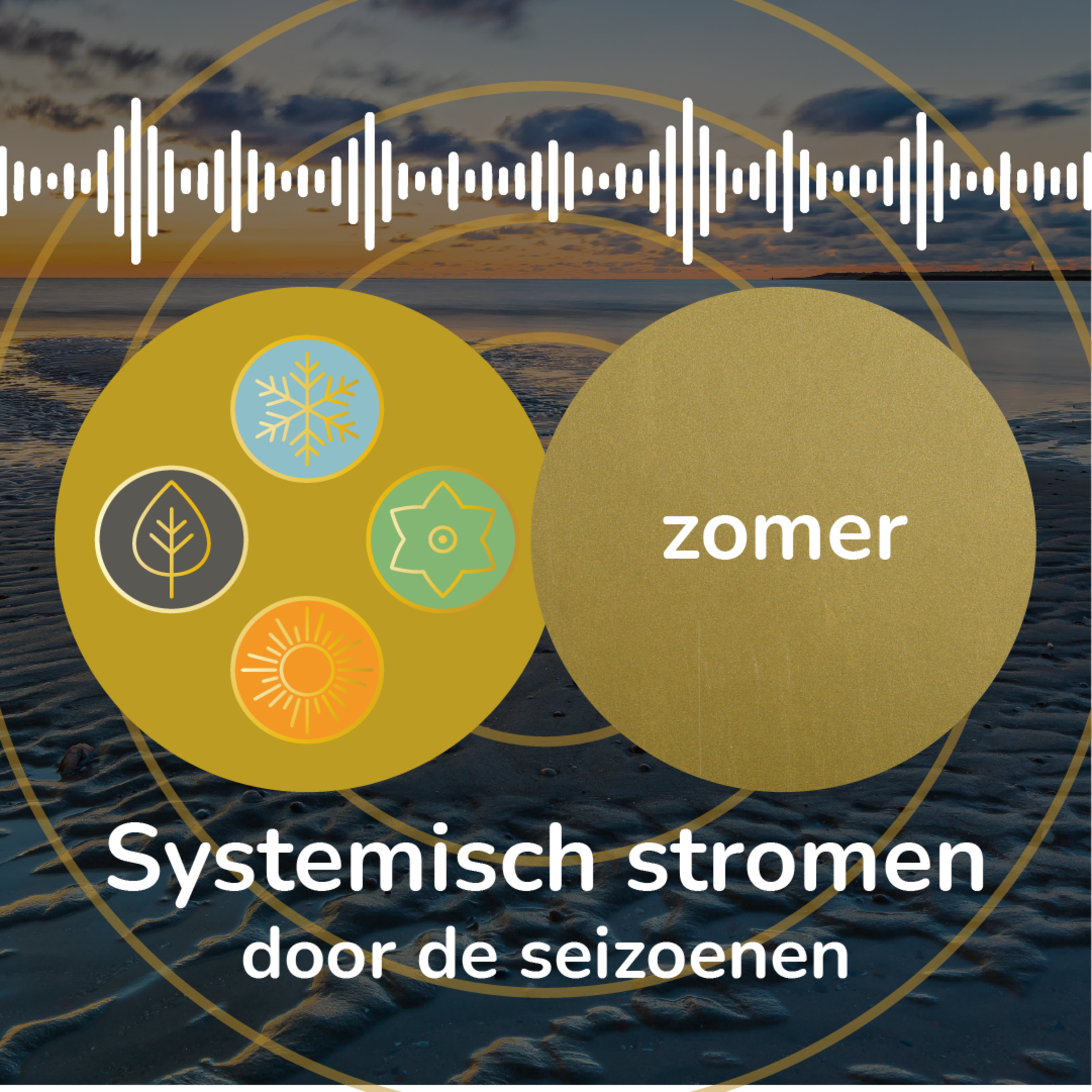 Systemisch Stromen door de Seizoenen in Leven en Werk | Zomer 2