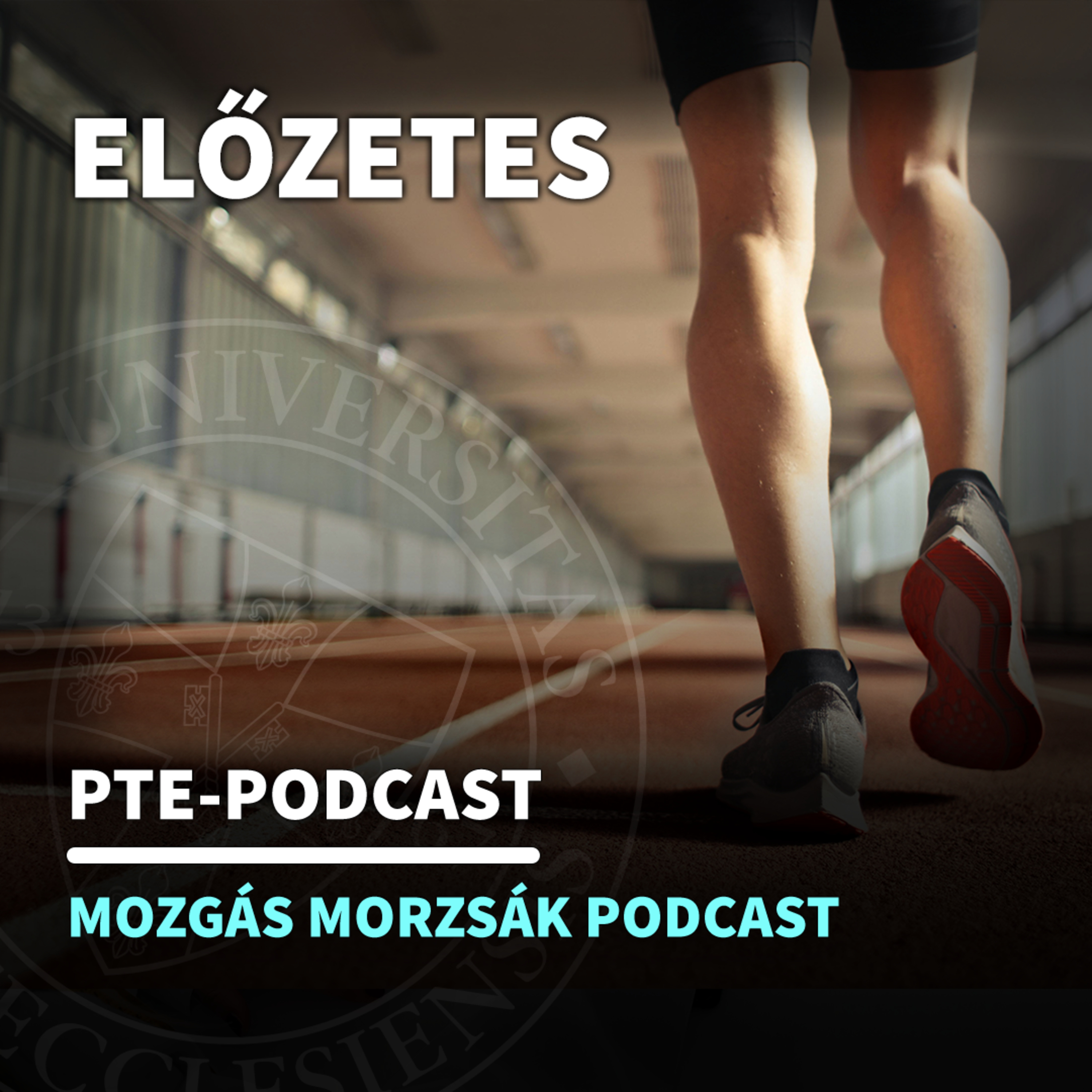 ELŐZETES - Nem para a parasport - Vendég: Iván Bence paralimpikon úszó, hallgató, PTE TTK STI   episode artwork