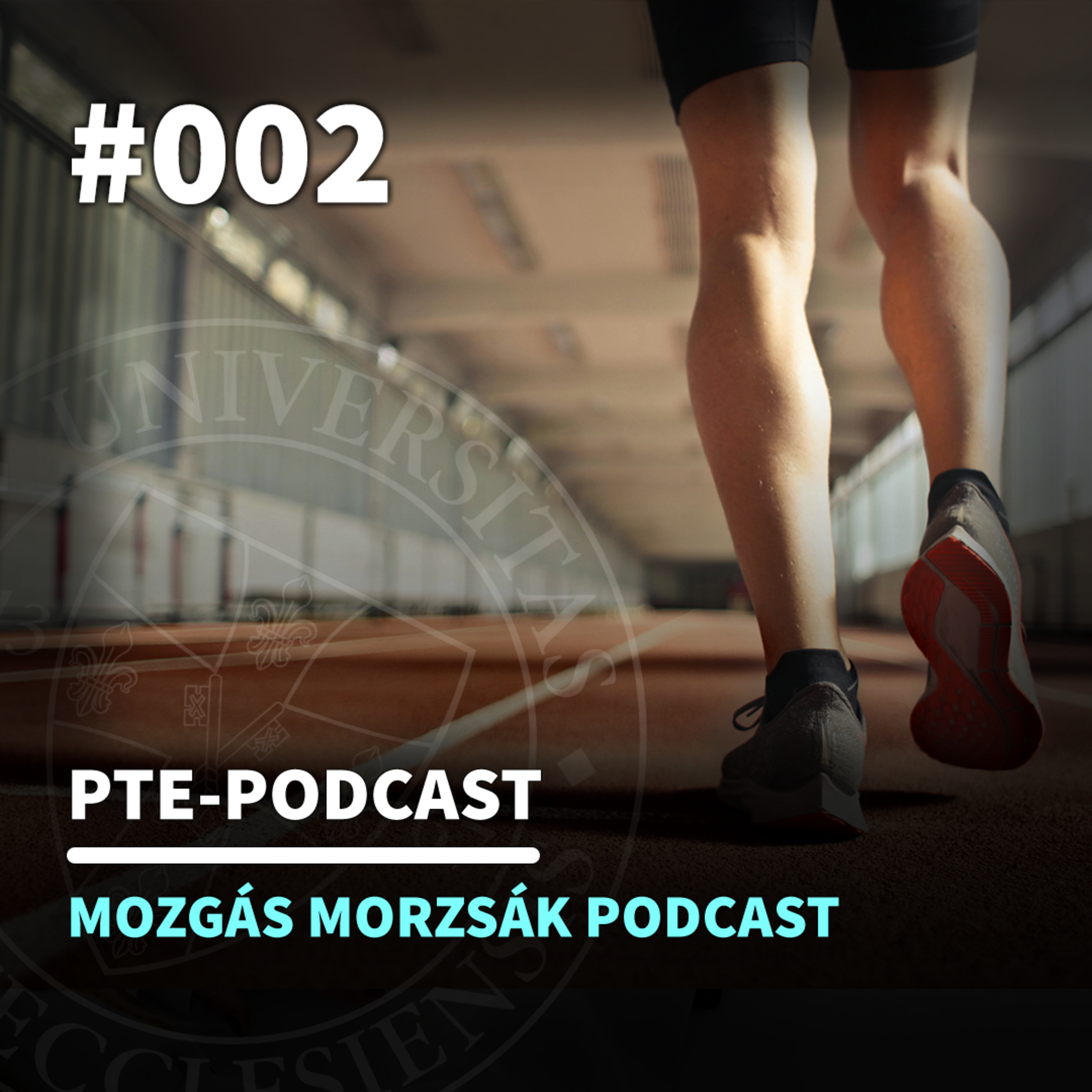 Ön többet nem fog tudni járni - Vendég: Adrián Dorottya edző, hallgató, PTE TTK STI  episode artwork