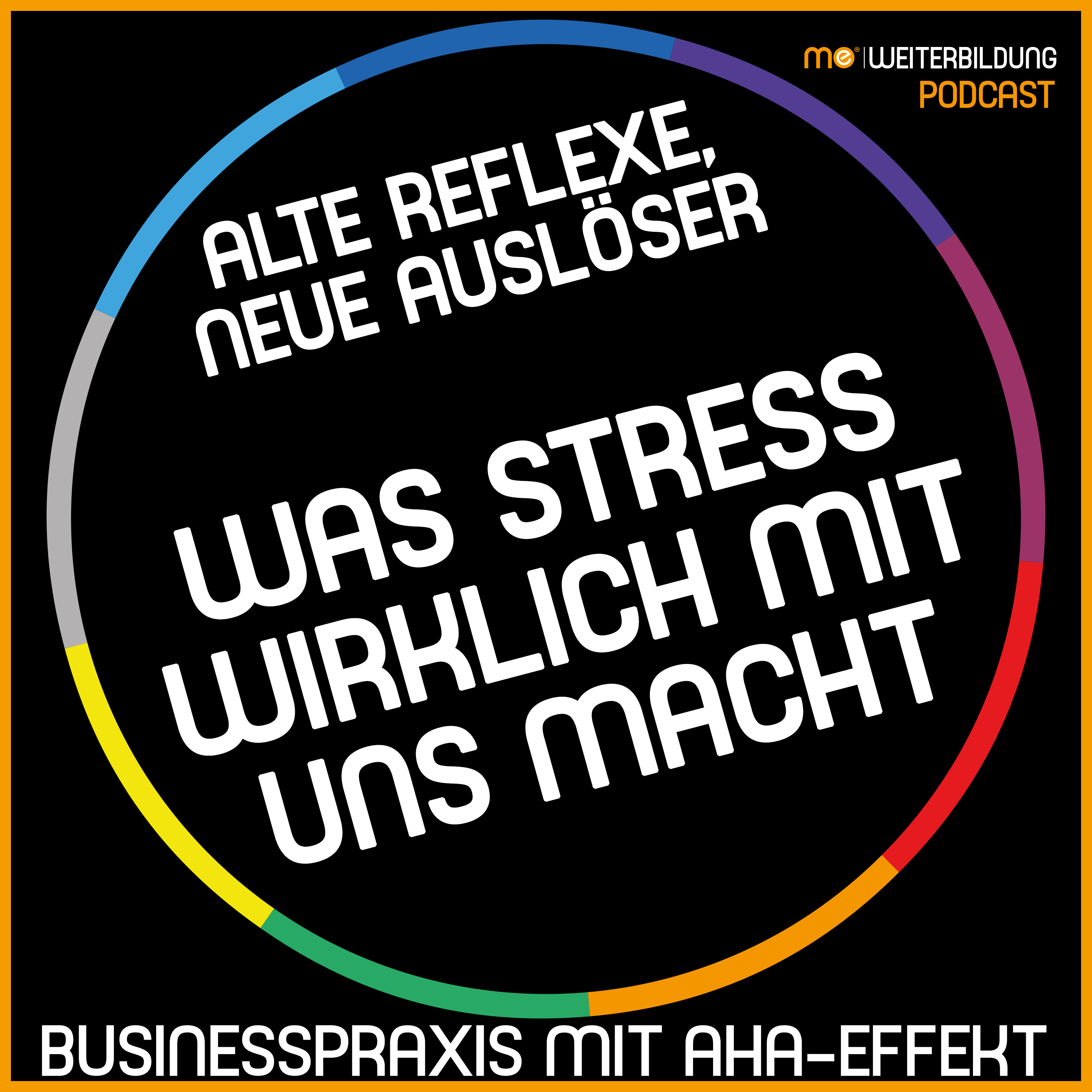Alte Reflexe, neue Auslöser - Was Stress wirklich mit uns macht episode artwork