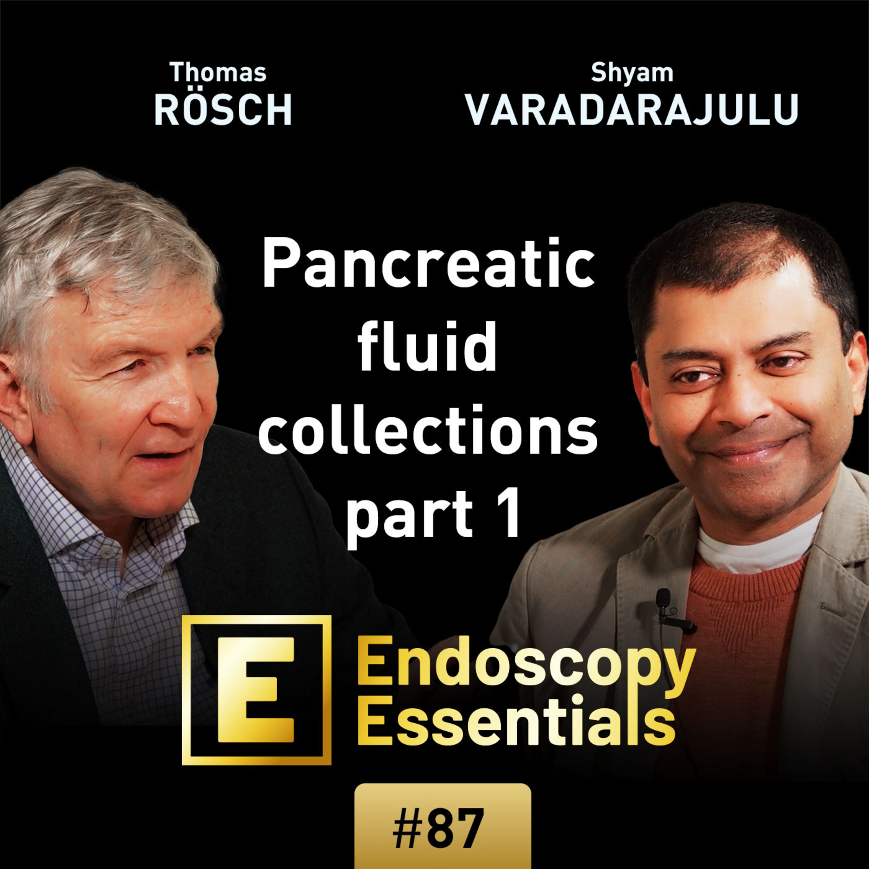 Drainage of pancreatic fluid collections: (1) Indication and imaging episode artwork