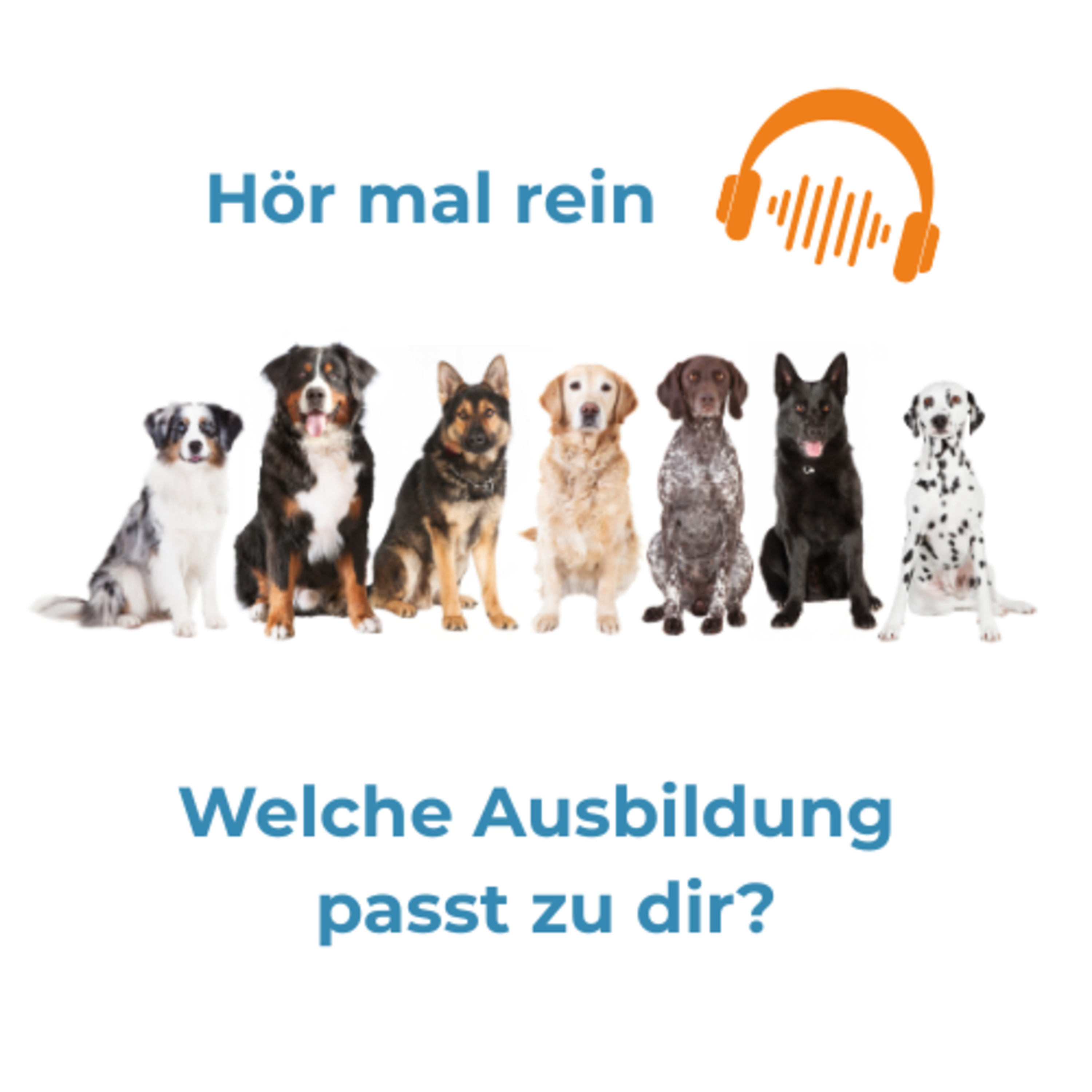 Welche Ausbildung passt zu dir?  episode artwork