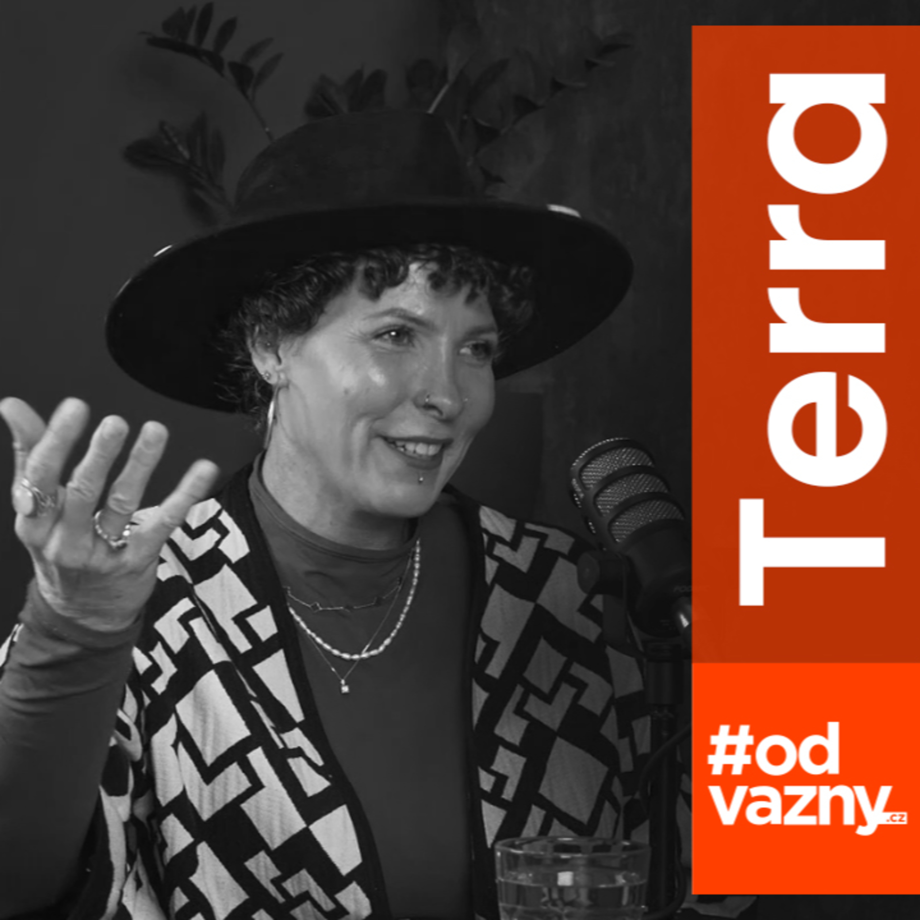 🔵Teaser: Trauma je velký potenciál k růstu. Stop mýtům o terapii. Mgr. Terra Kasal #odvážný episode artwork