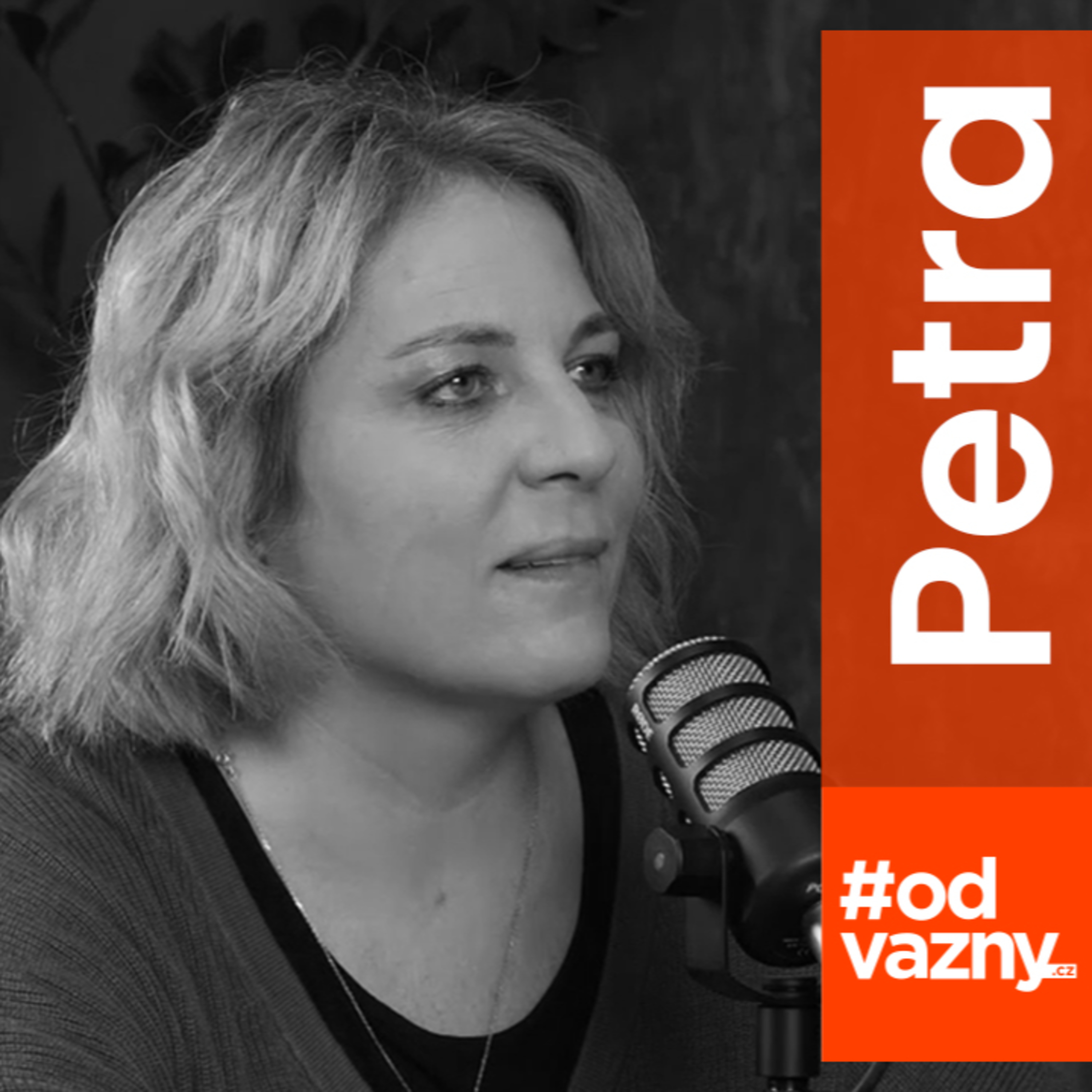 Teaser:🟠Petra Hapková: Táta měl Alzheimera, já šílené depky a úzkosti. Jak jsem se z toho dostala? #odvážný episode artwork