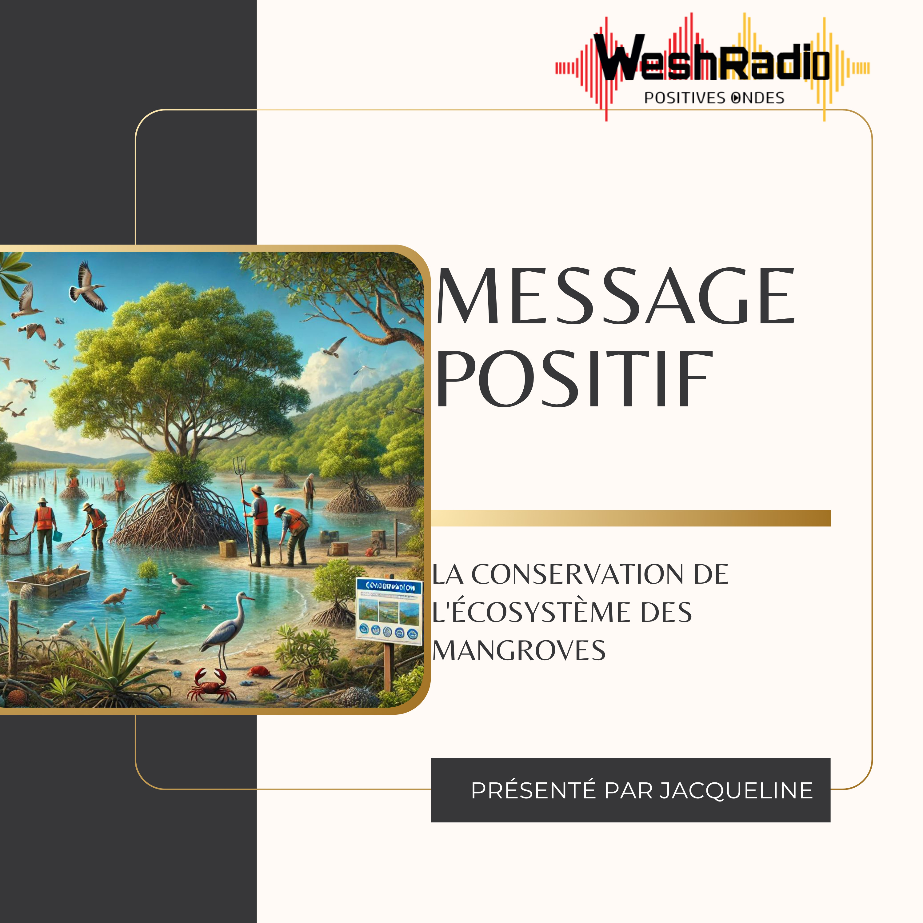 La conservation de l'écosystème des mangroves episode artwork