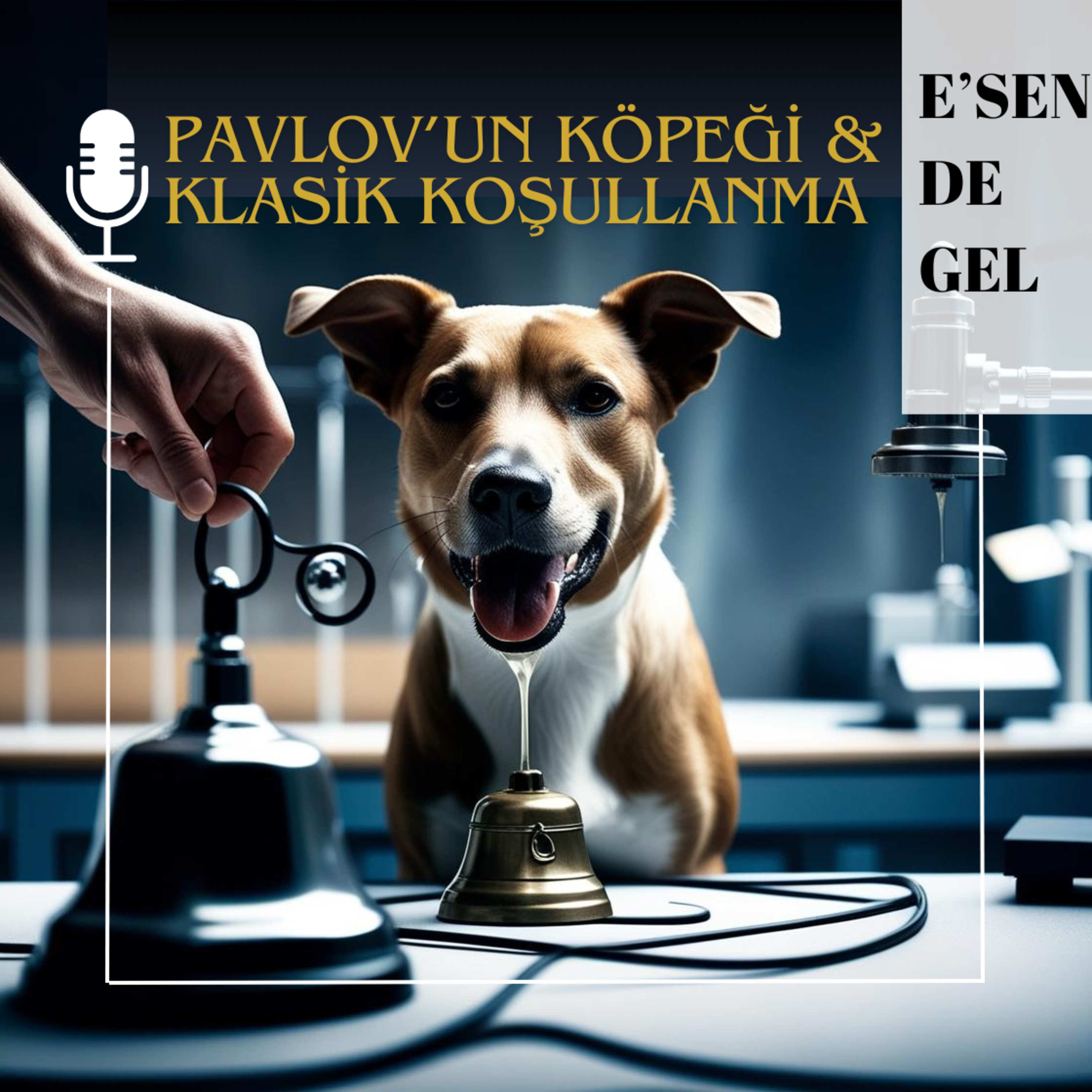 Pavlov'un Köpeği & Klasik Koşullanma & Terapi Odasında Formülasyon episode artwork