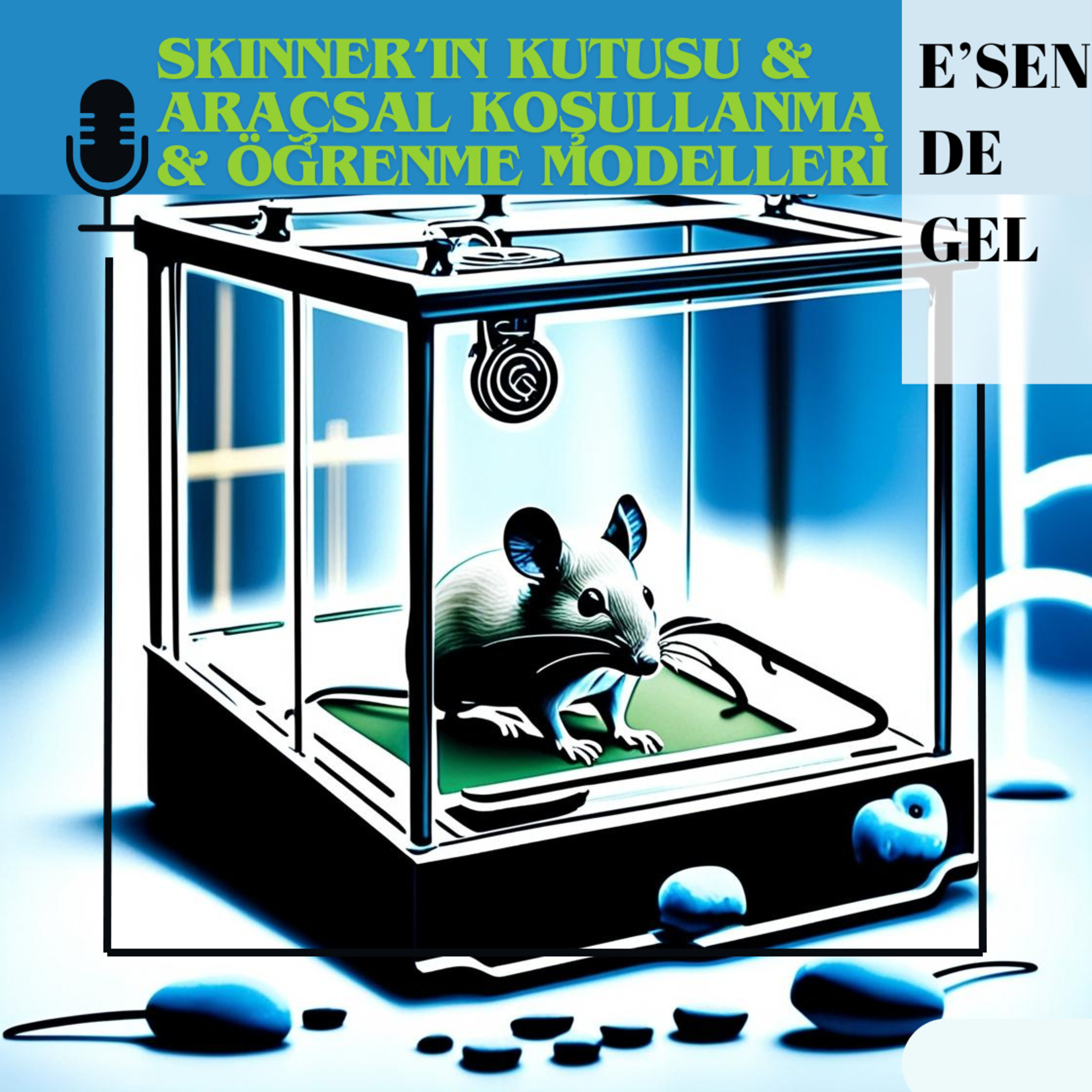 Skinner'ın Kutusu & Araçsal Koşullanma & Öğrenme Modelleri episode artwork
