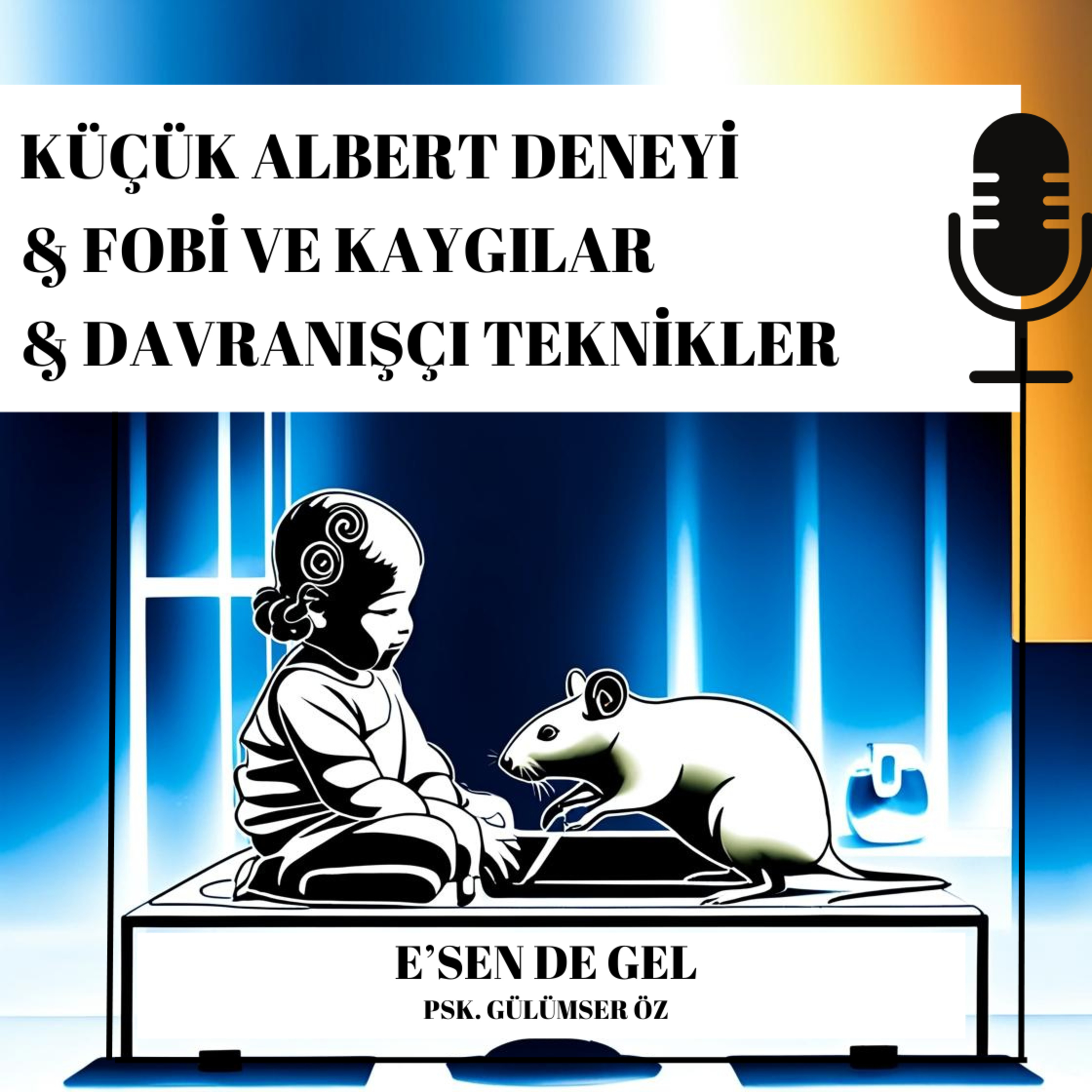 KÜÇÜK ALBERT DENEYİ & FOBİ VE KAYGILAR &DAVRANIŞÇI TEKNİKLER episode artwork