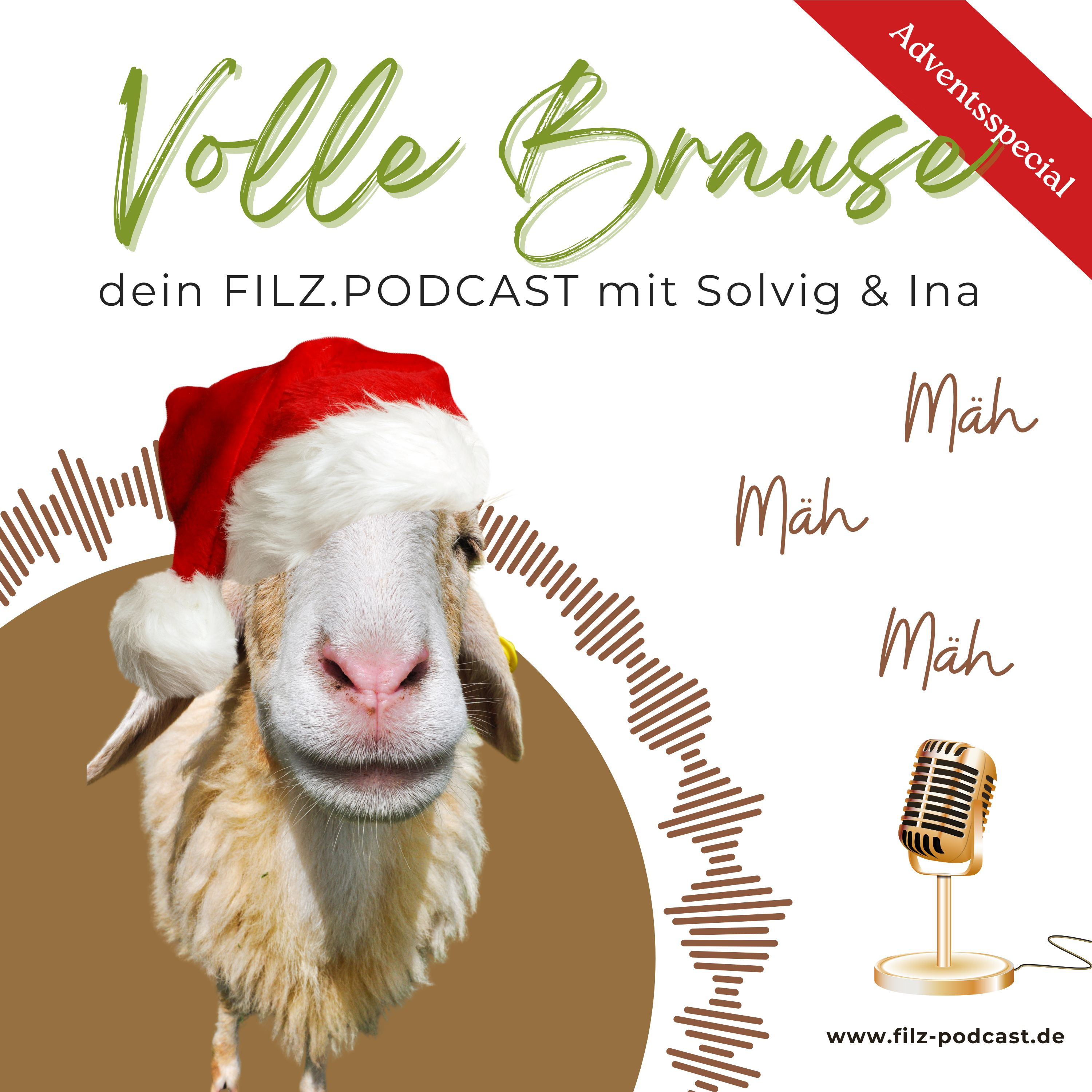 Volle Brause - ein Podcast übers Filzhandwerk