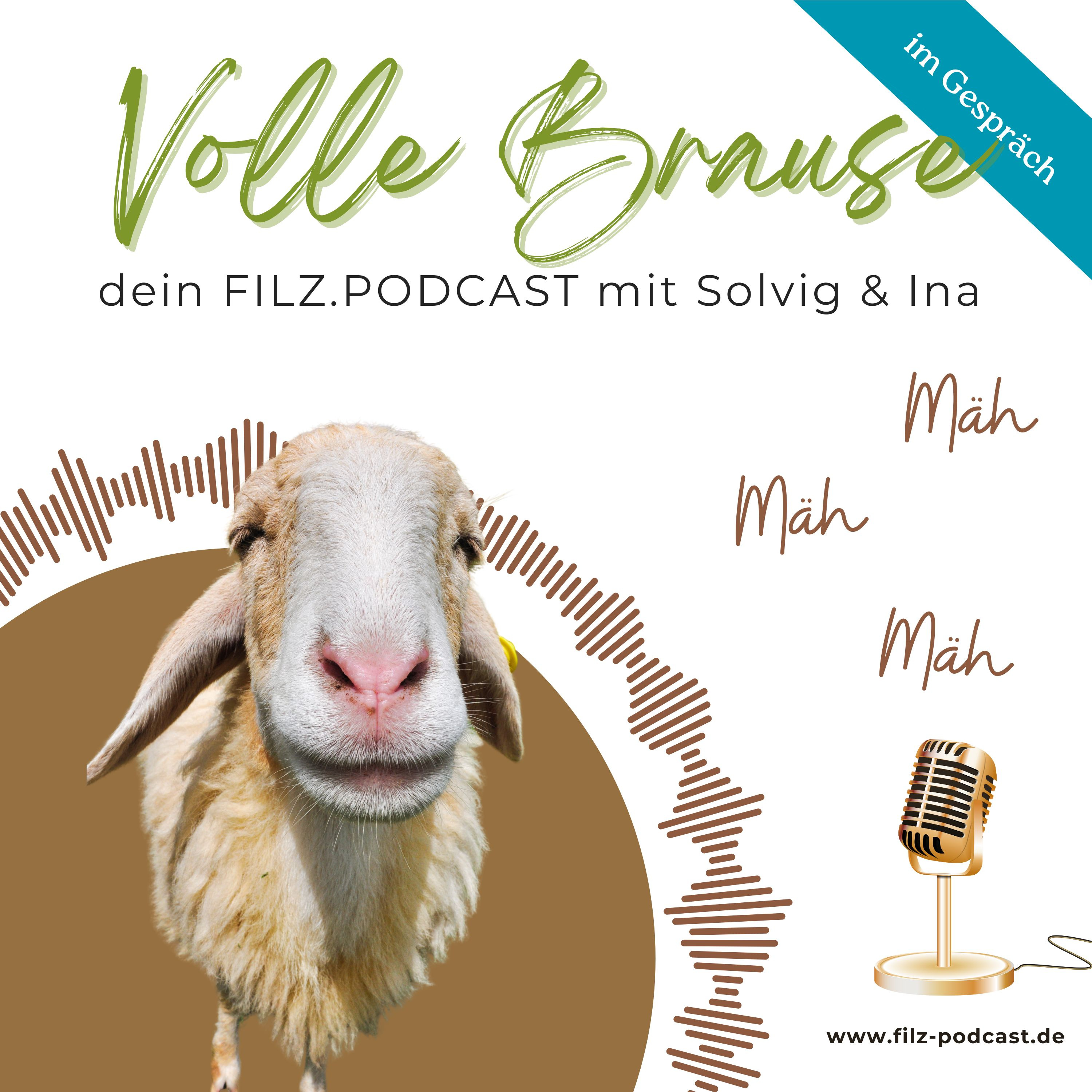 Volle Brause - ein Podcast übers Filzhandwerk
