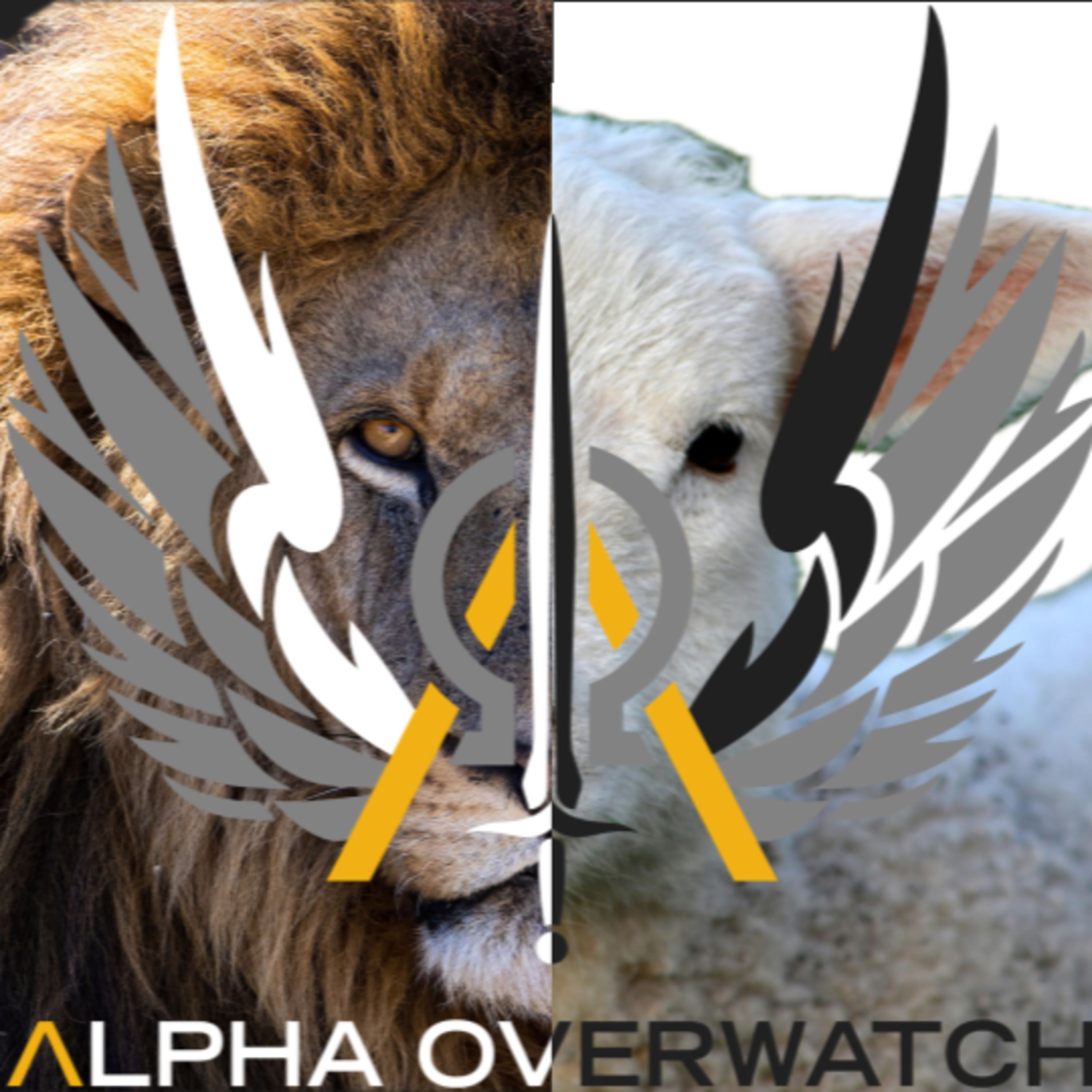 Alpha Overwatch