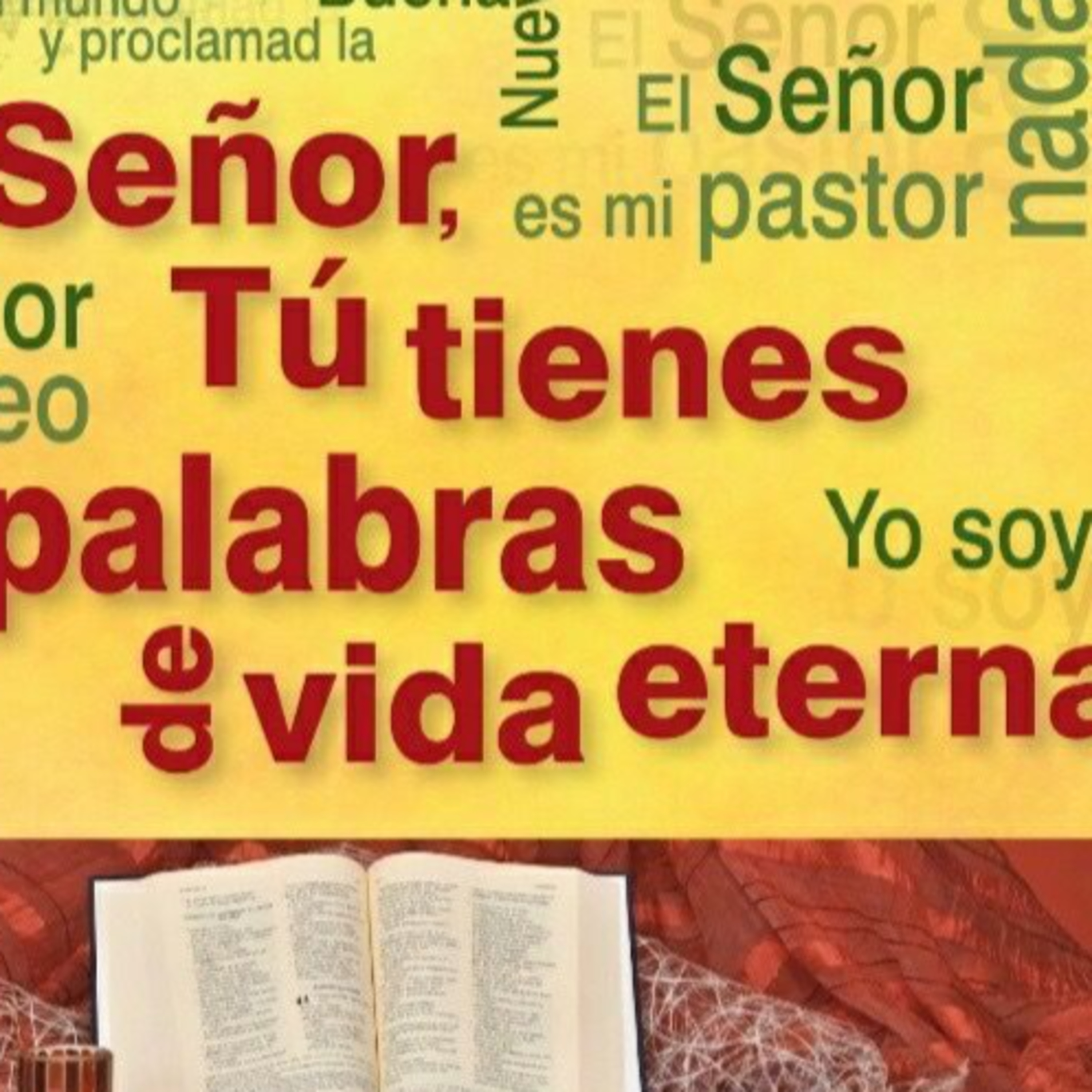Padre Noé