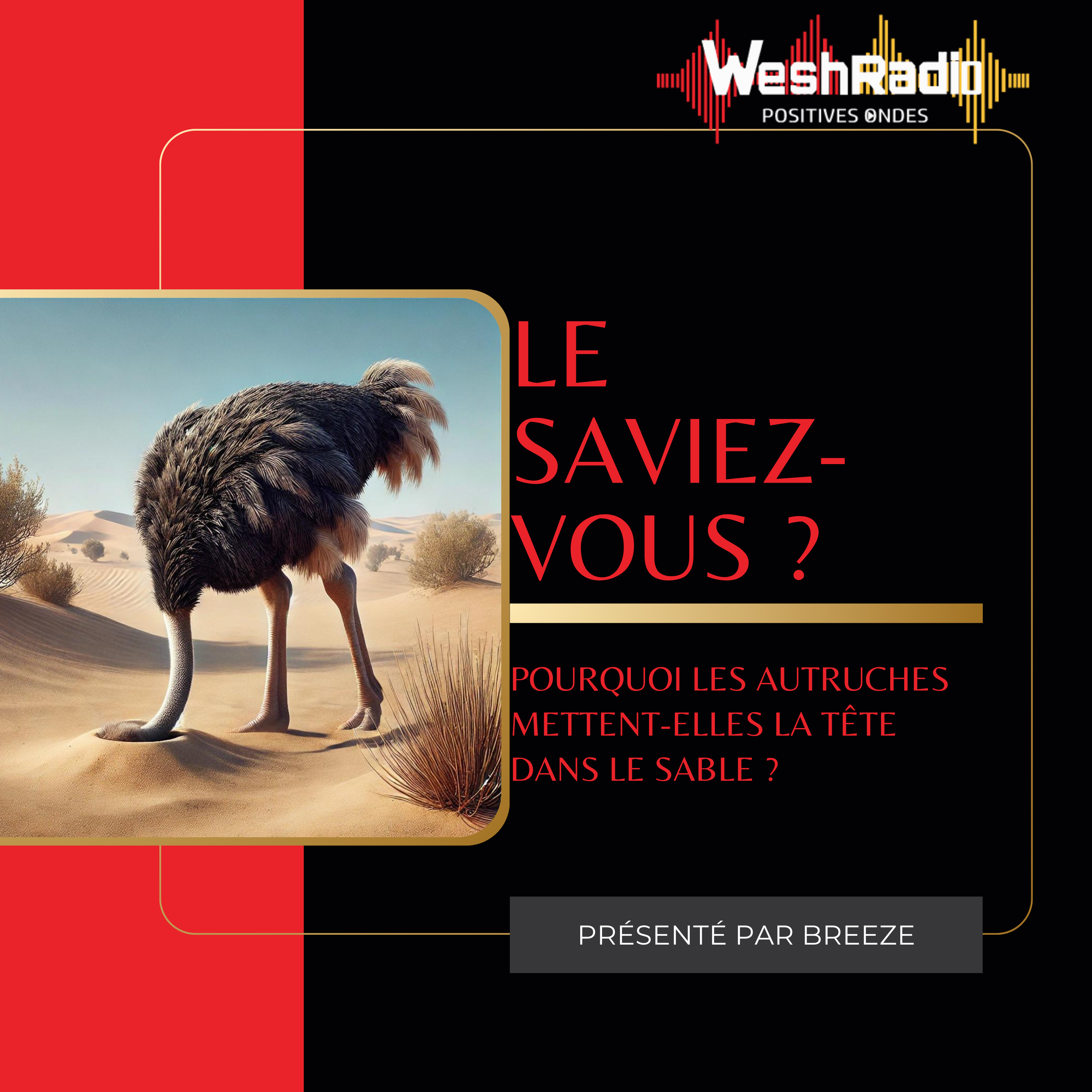 Le Saviez-Vous - WeshRadio