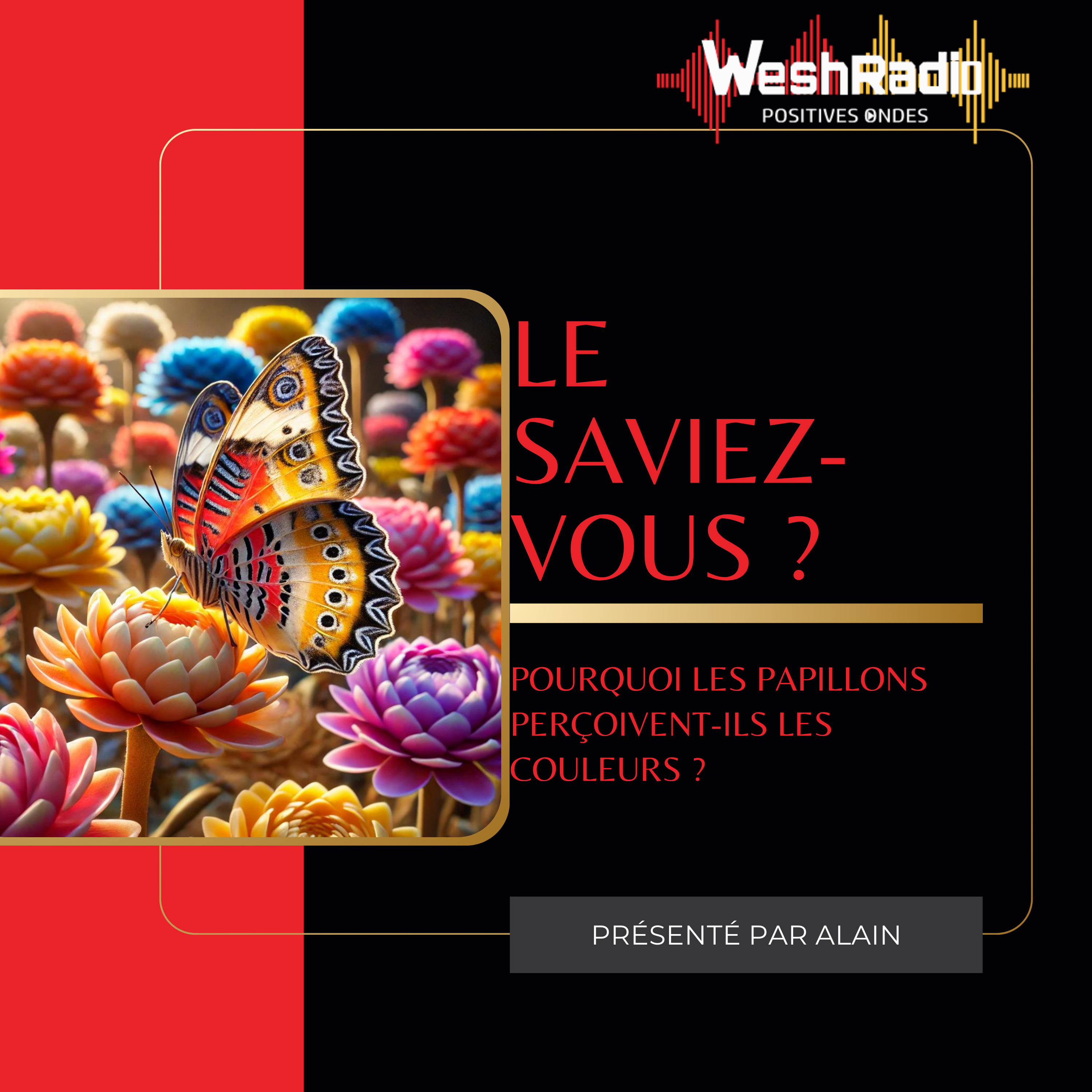 Le Saviez-Vous - WeshRadio