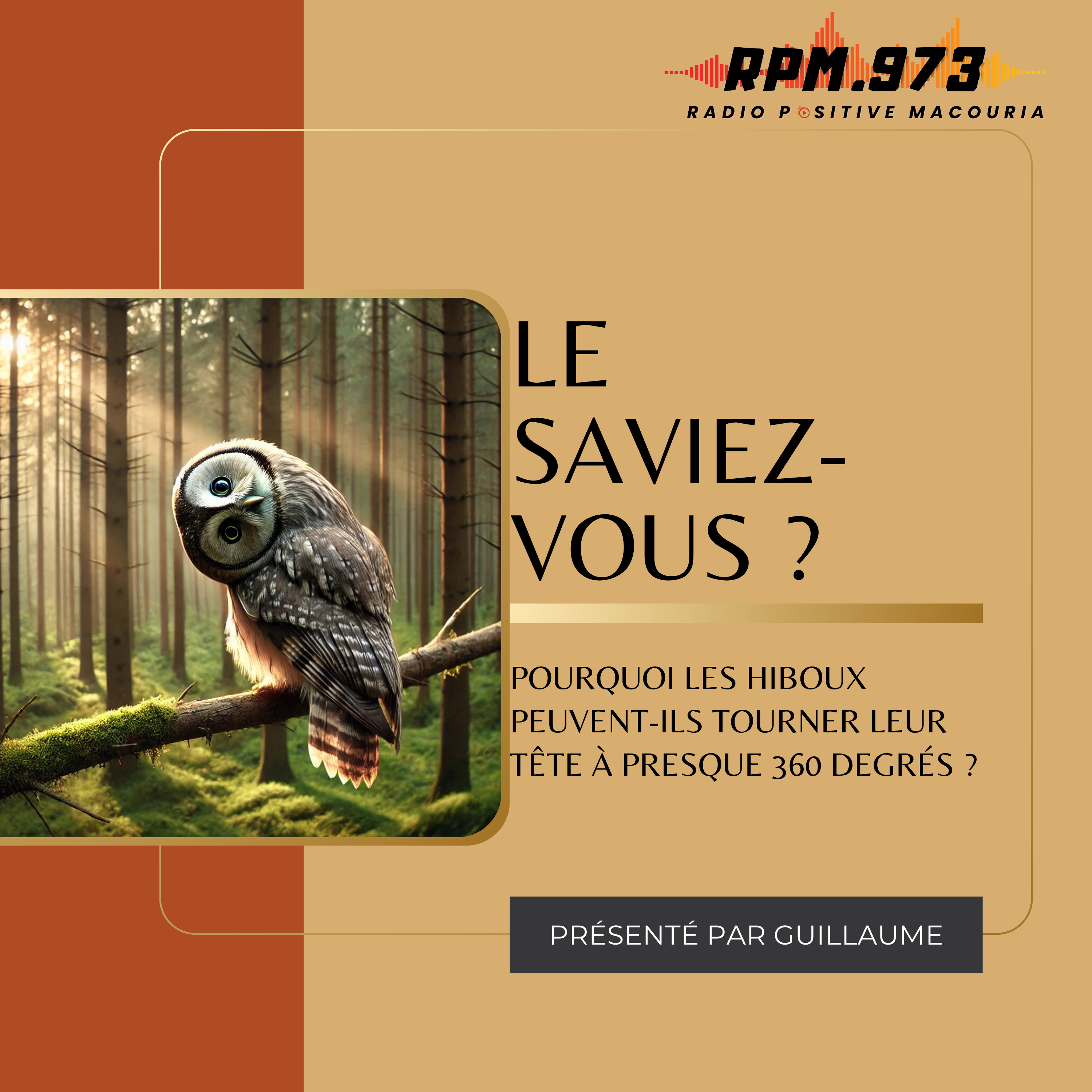Pourquoi les hiboux peuvent-ils tourner leur tête à presque 360 degrés ? episode artwork