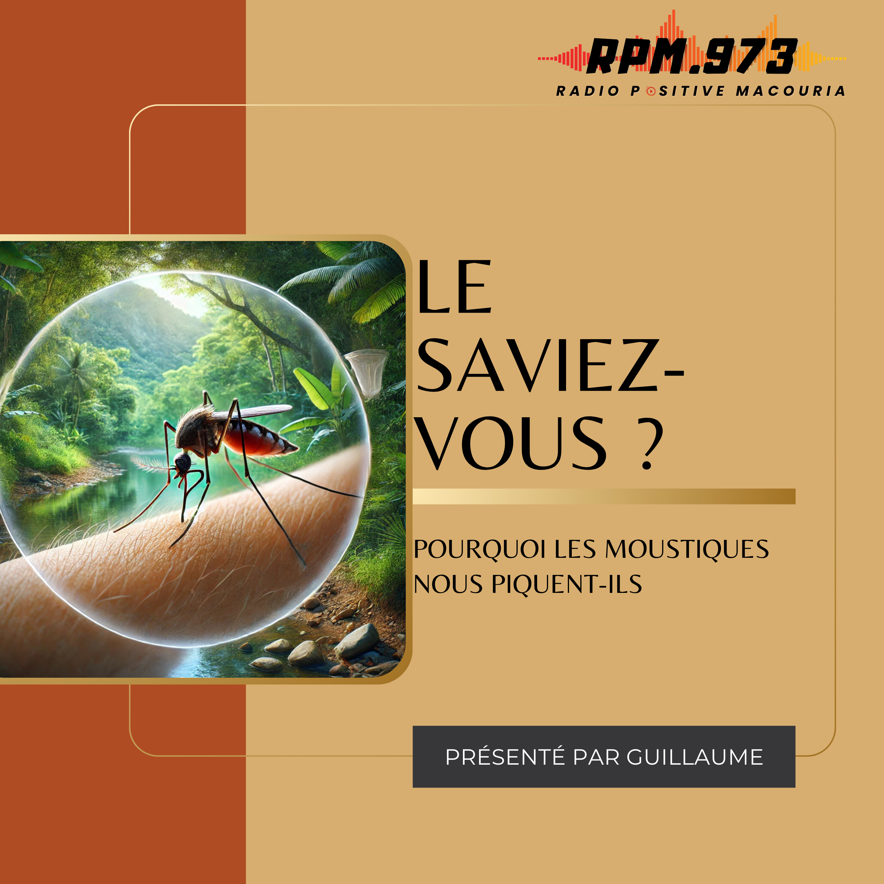 Pourquoi les moustiques nous piquent-ils