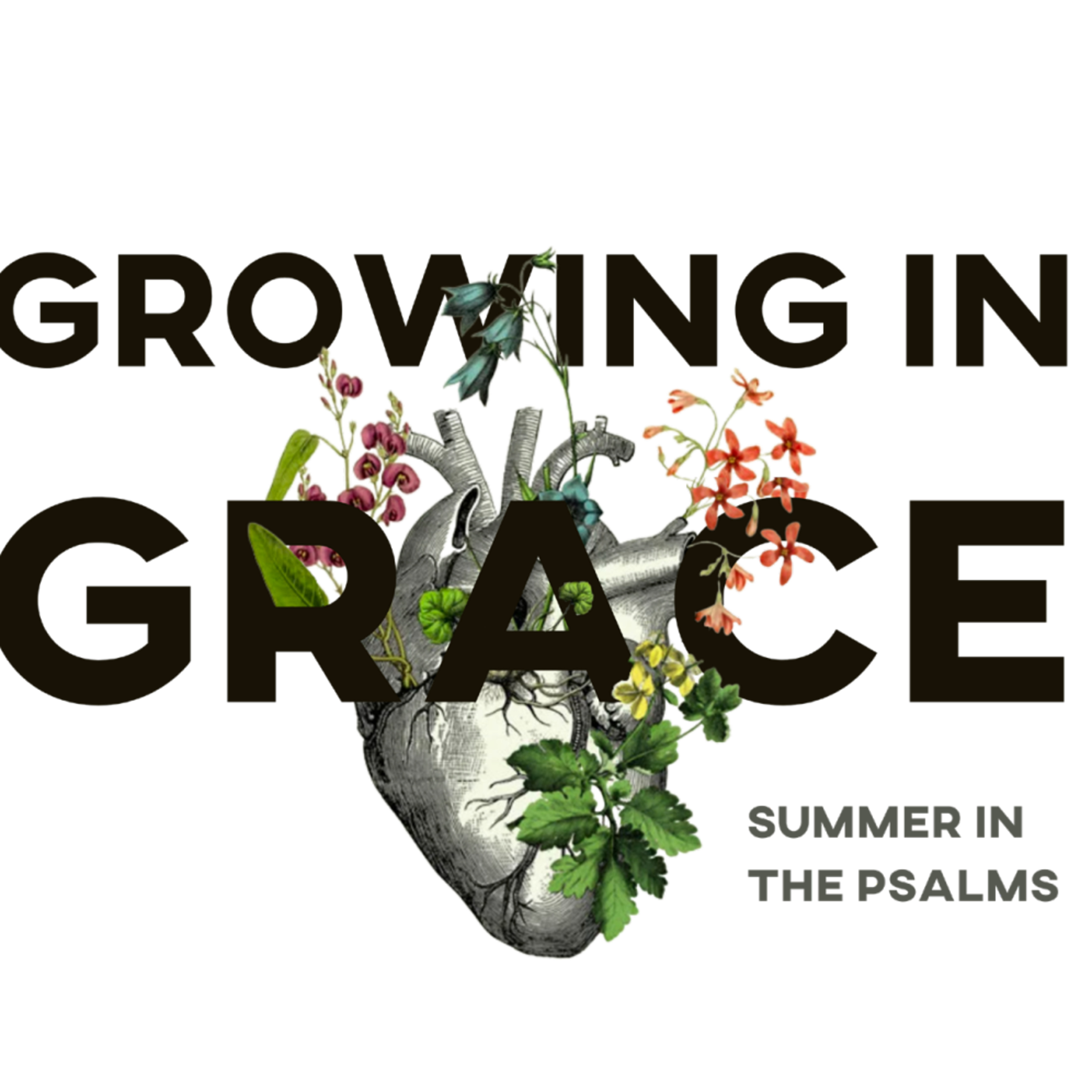July 7th, 2024 | Psalm 62 episode artwork
