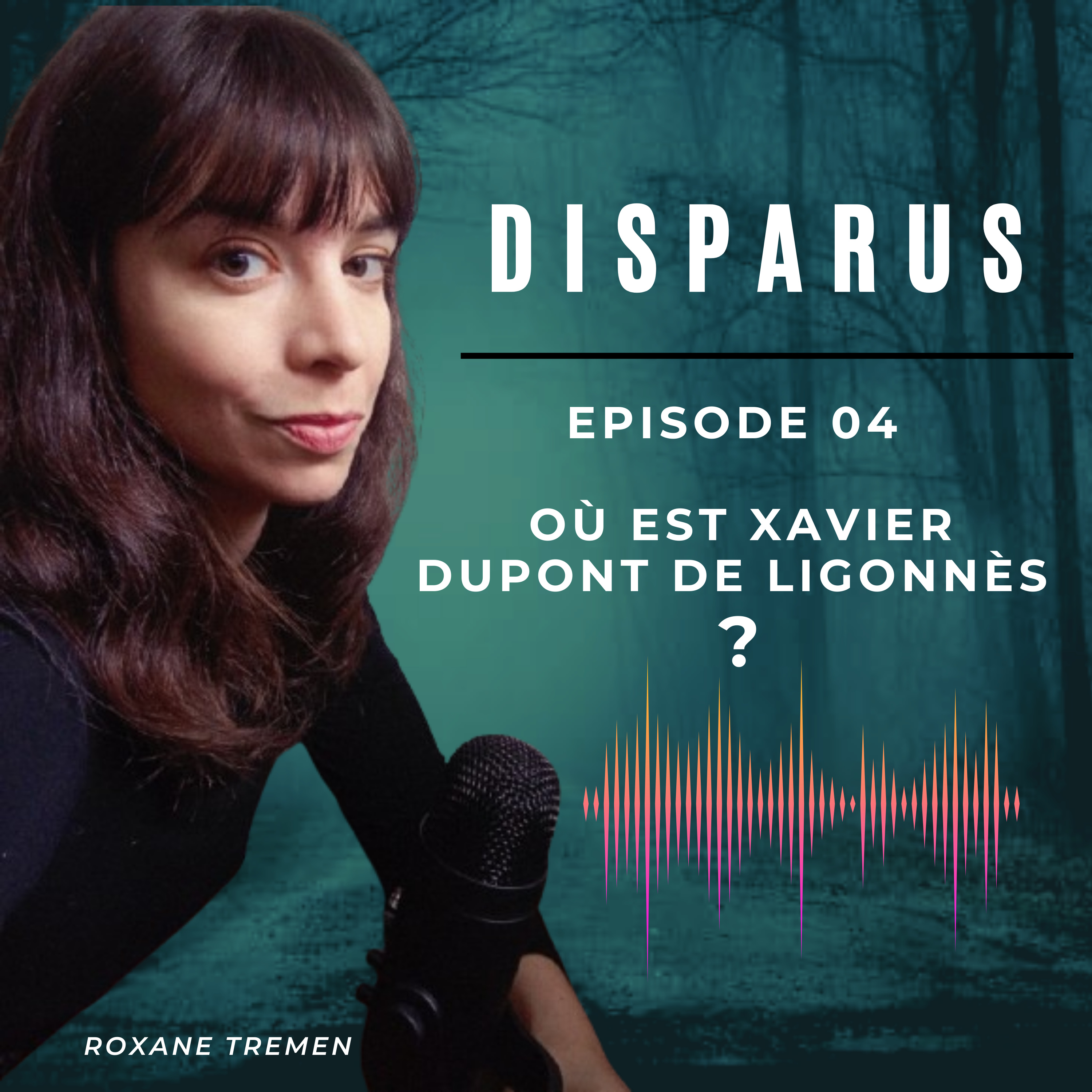 Où est Xavier Dupont de Ligonnès ?
