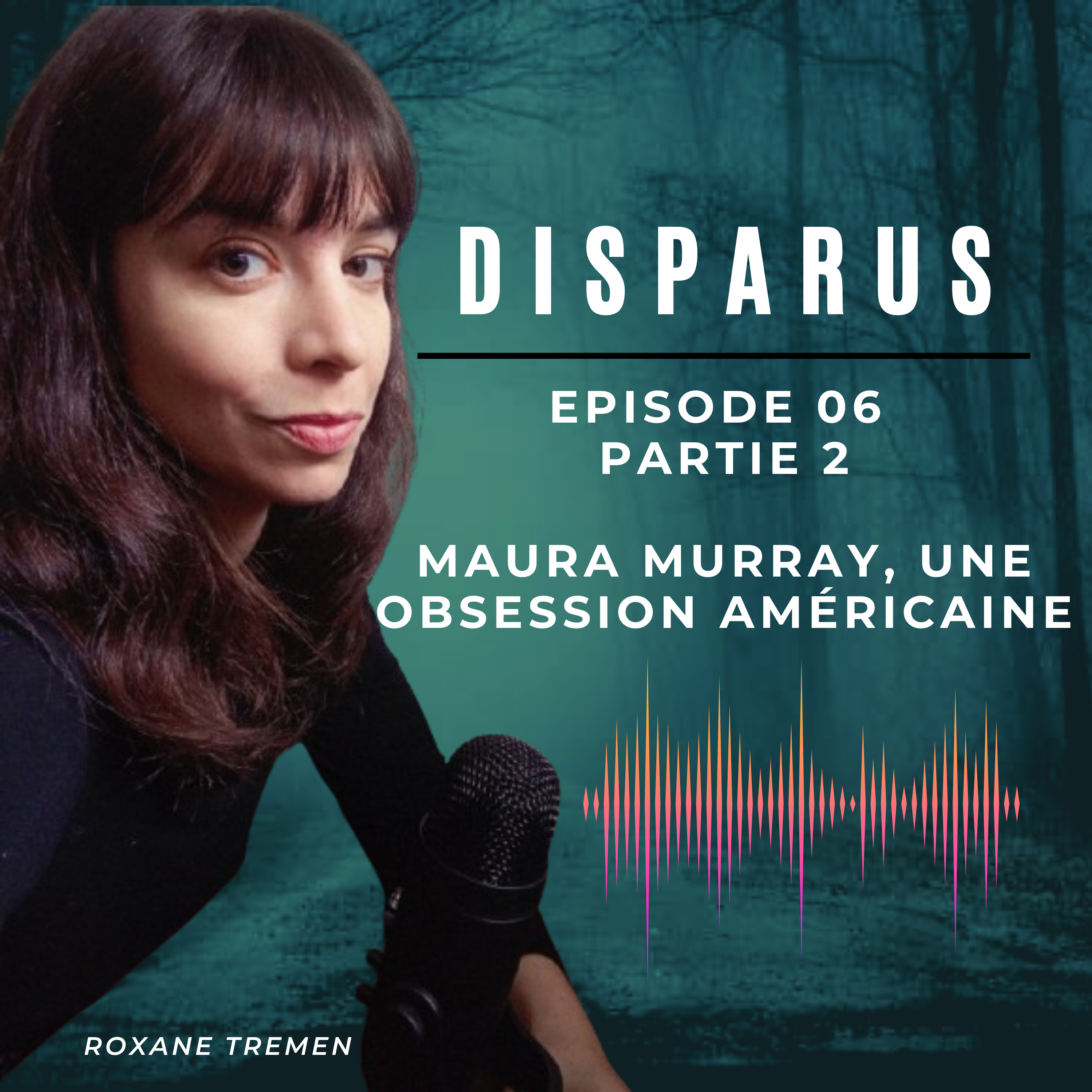 Maura Murray, une obsession américaine (Partie 2)