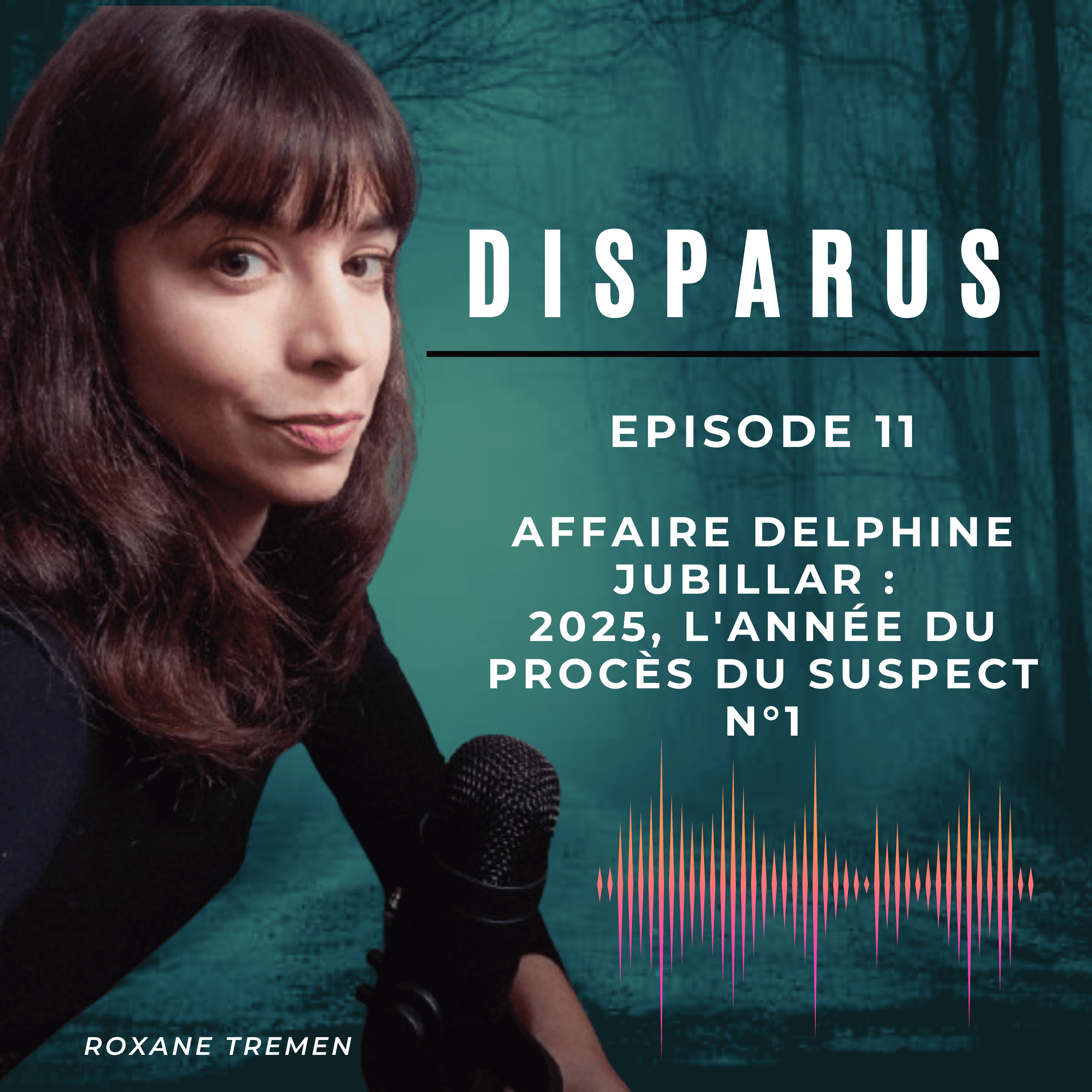 Affaire Delphine Jubillar : 2025, l'année du procès du suspect n°1