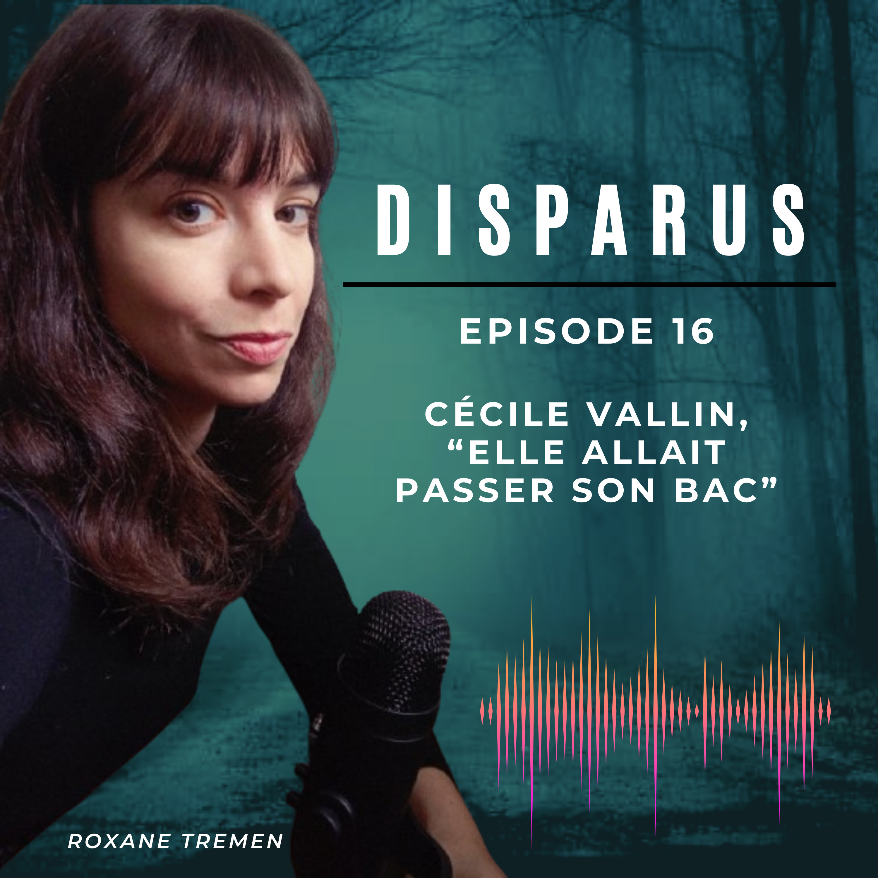 "Elle allait passer son bac" : la disparition de Cécile Vallin