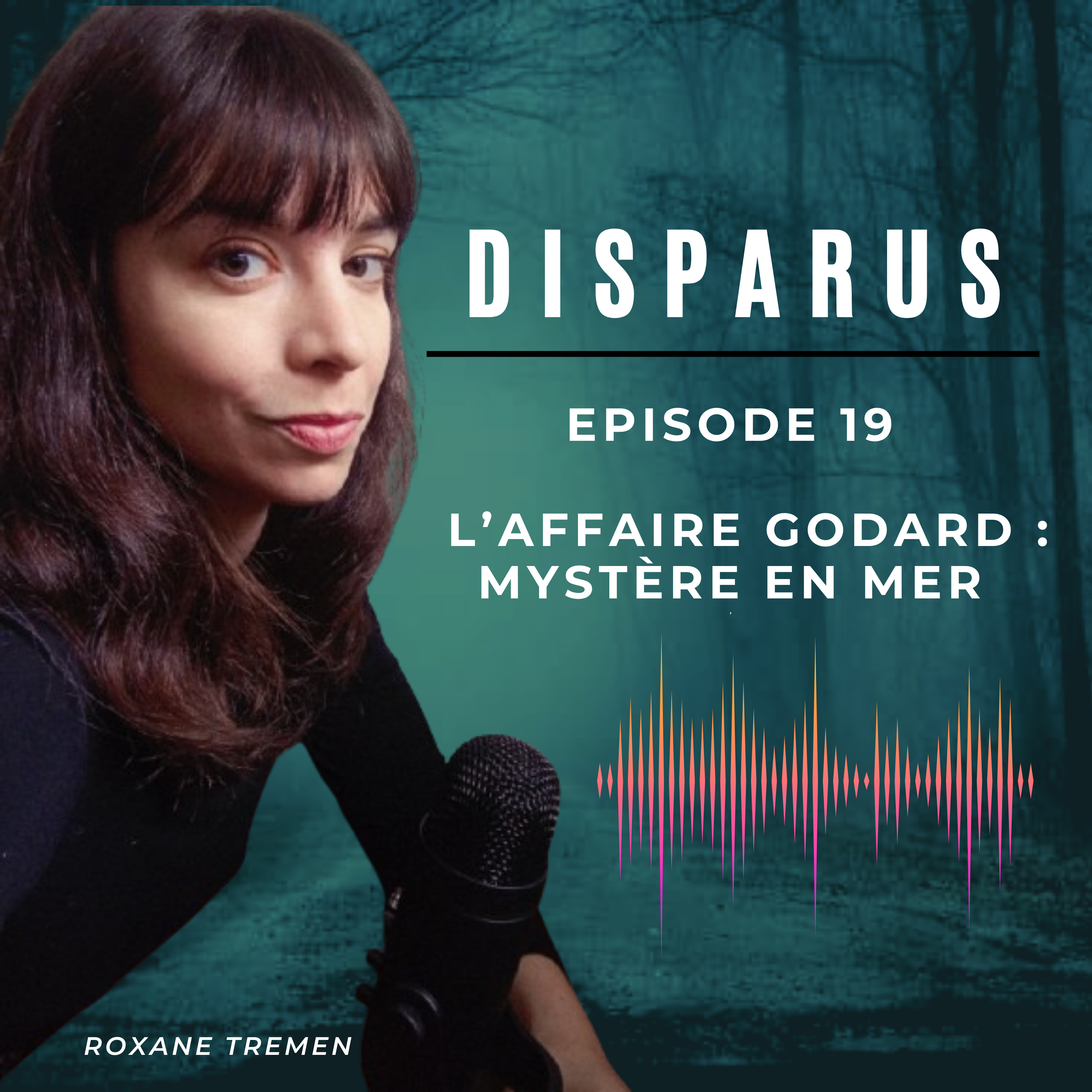 L'affaire Godard : mystère en mer