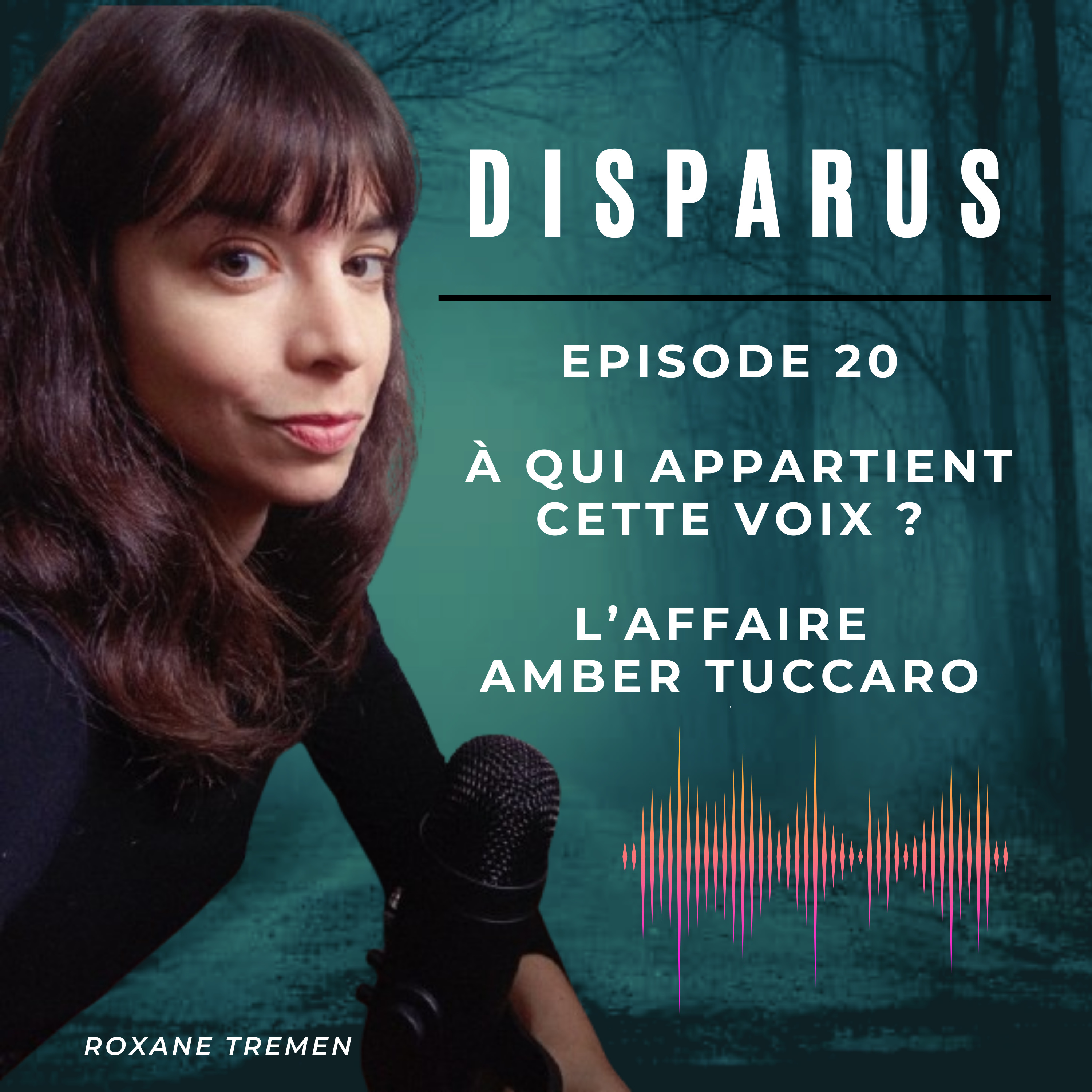 A qui appartient cette voix ? L'affaire Amber Tuccaro