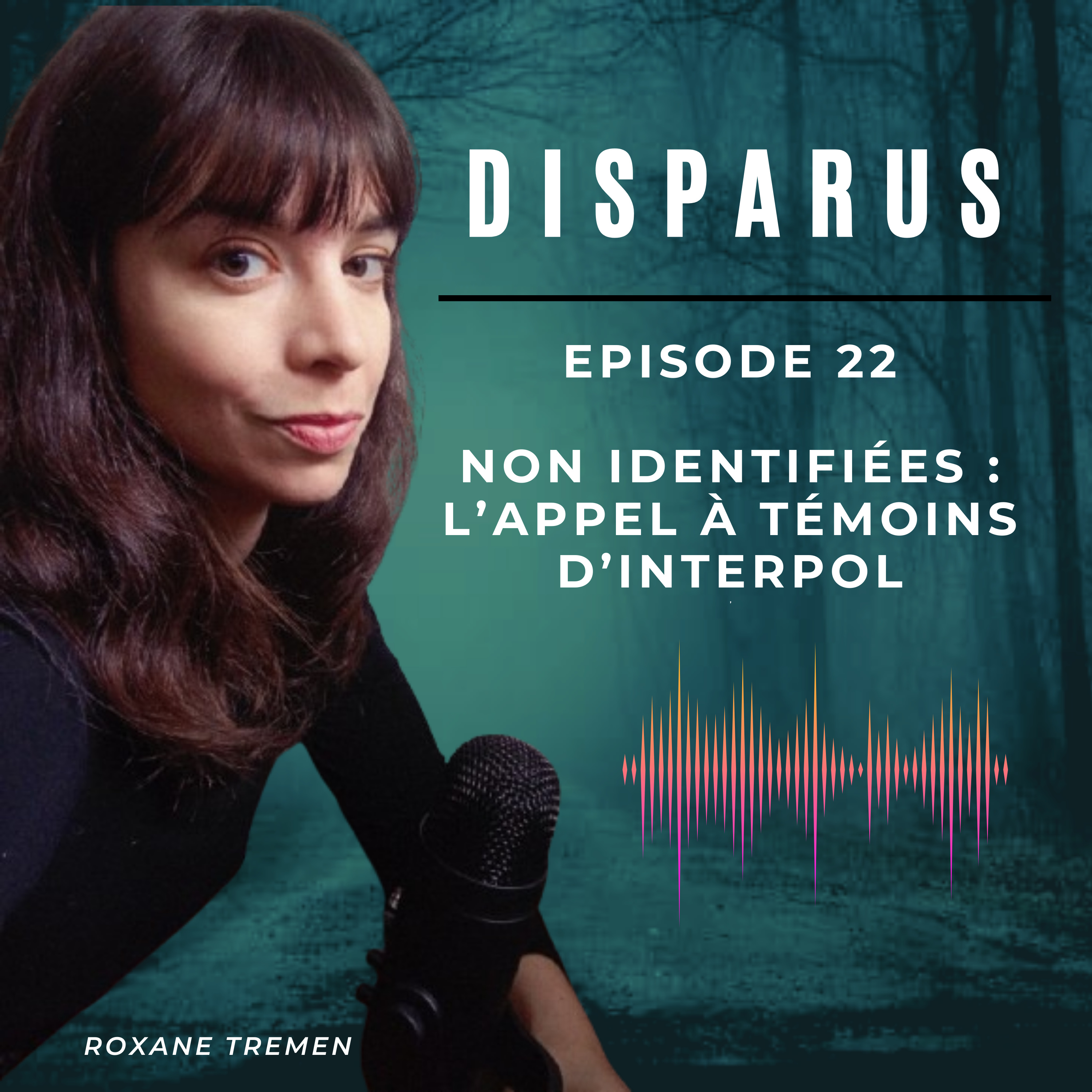 Non identifiées : l'appel à témoins d'Interpol