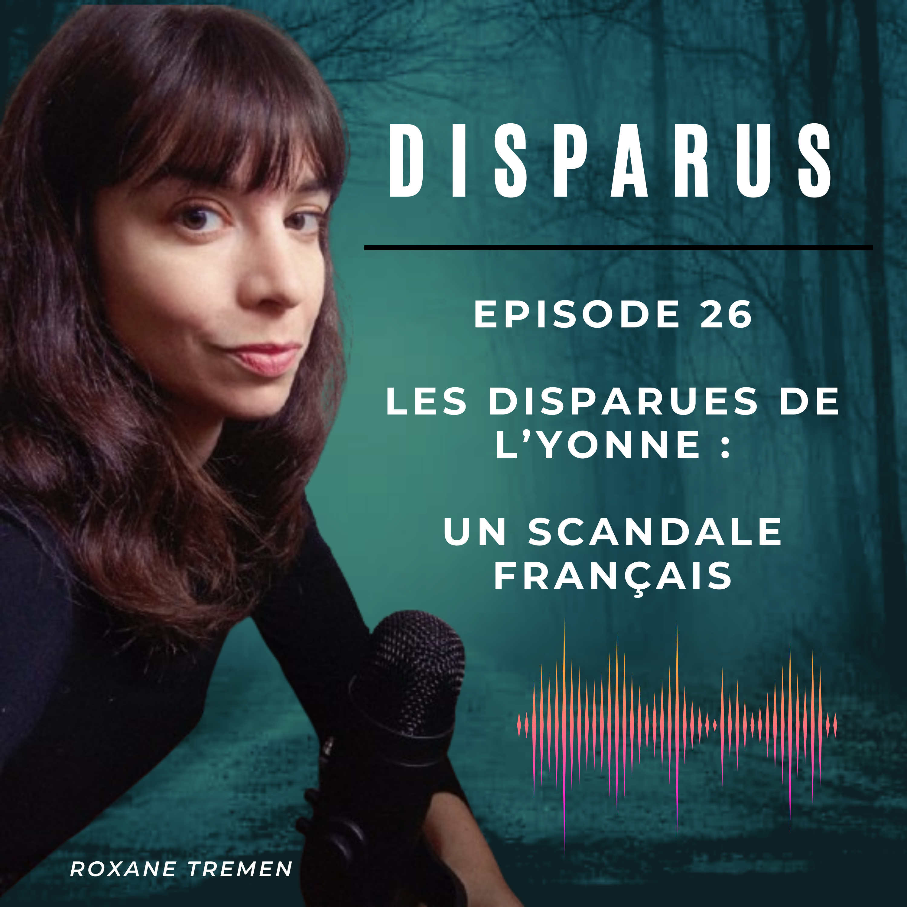 Les disparues de l'Yonne : un scandale français