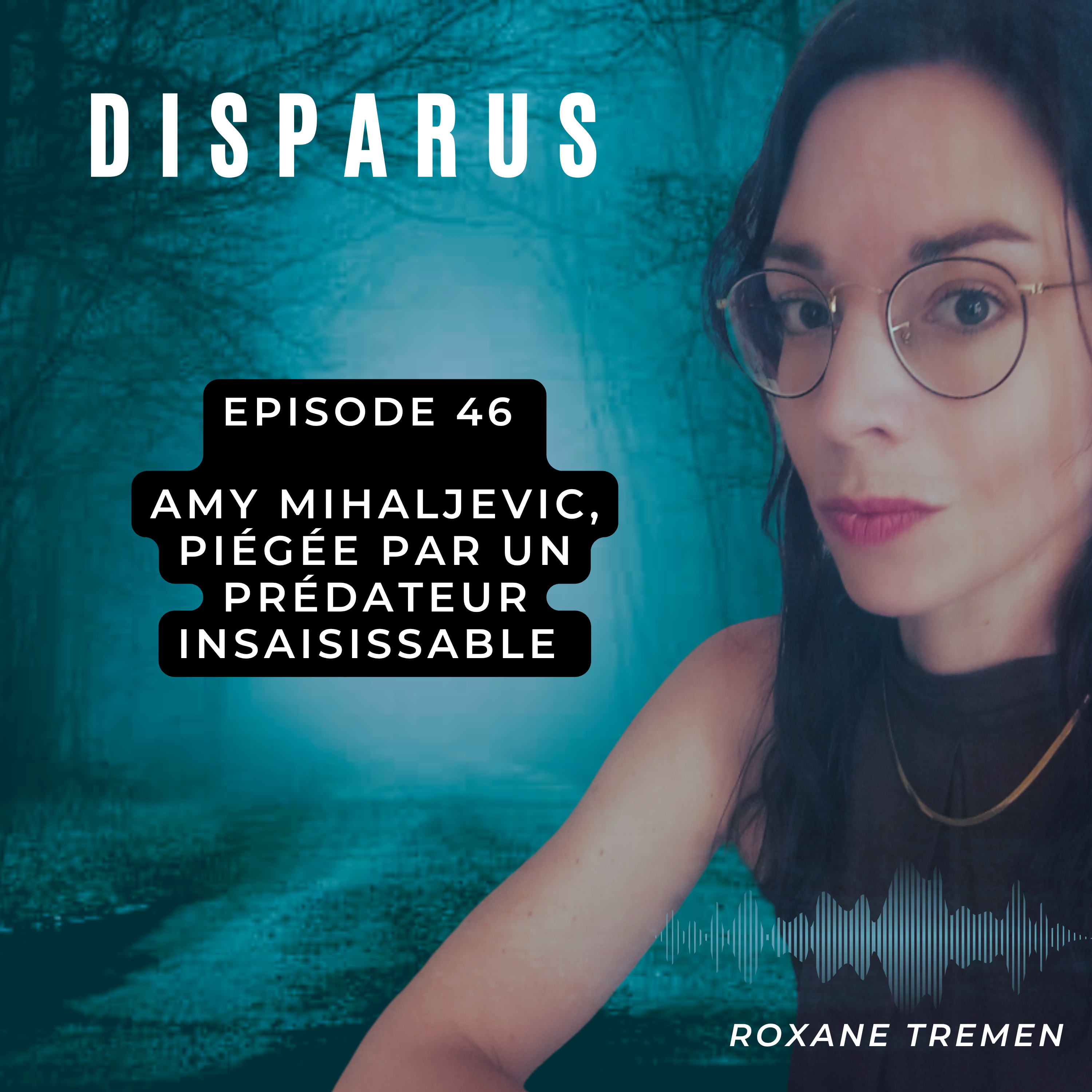 Amy Mihaljevic, piégée par un prédateur insaisissable episode artwork