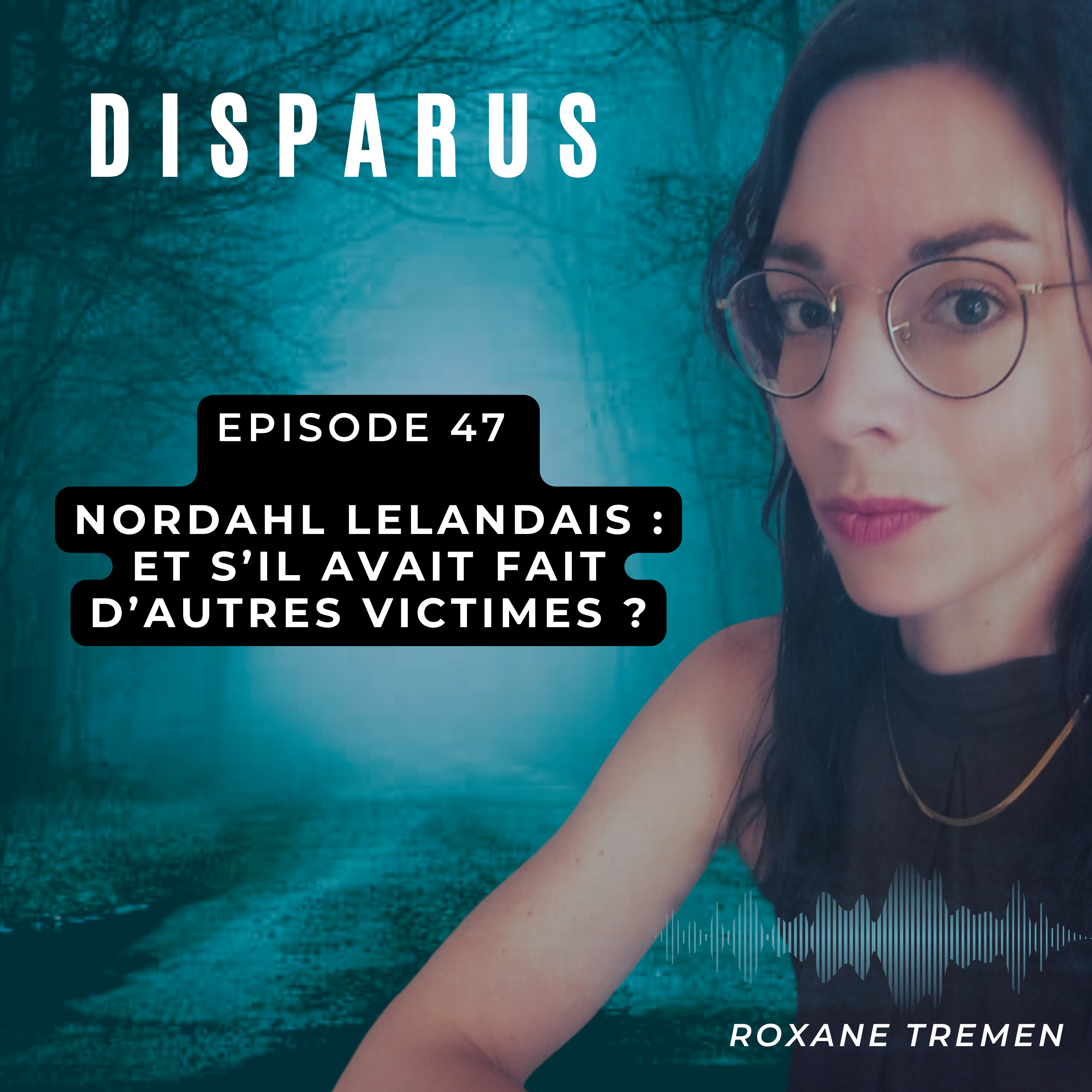 Nordahl Lelandais : et s'il avait fait d'autres victimes ? episode artwork