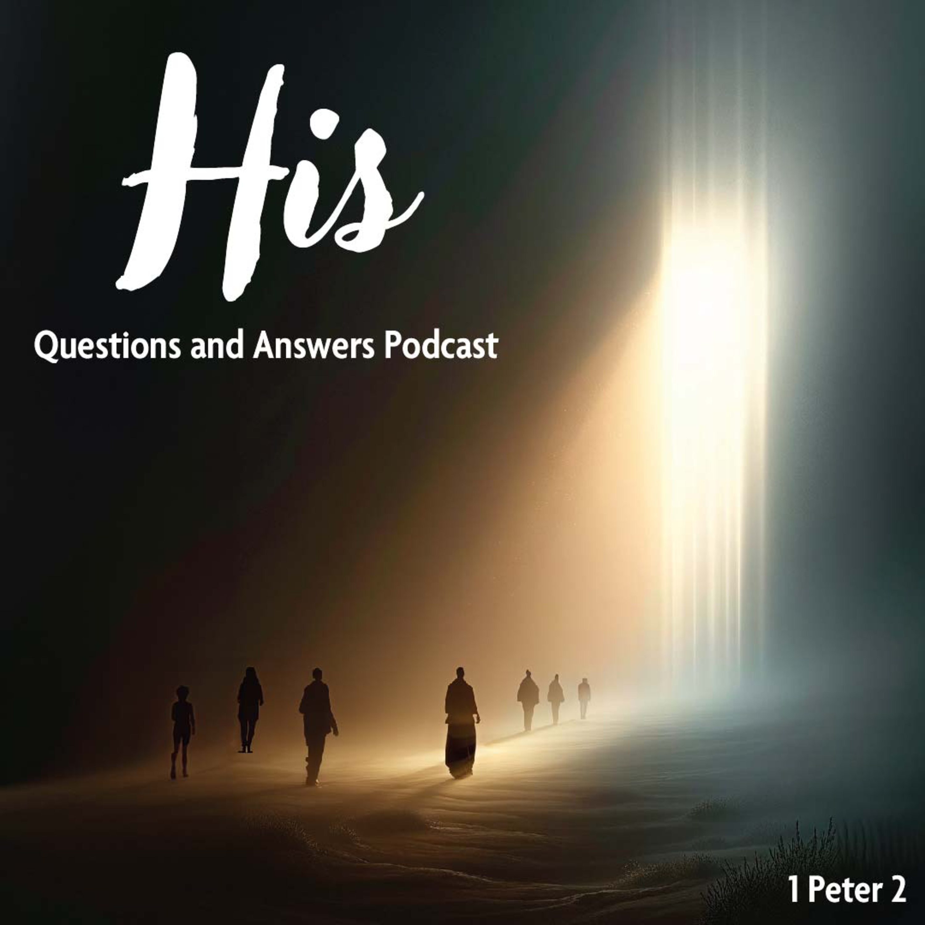 Reverberate: A Berean Bible Church Podcast | Knoxville, TN