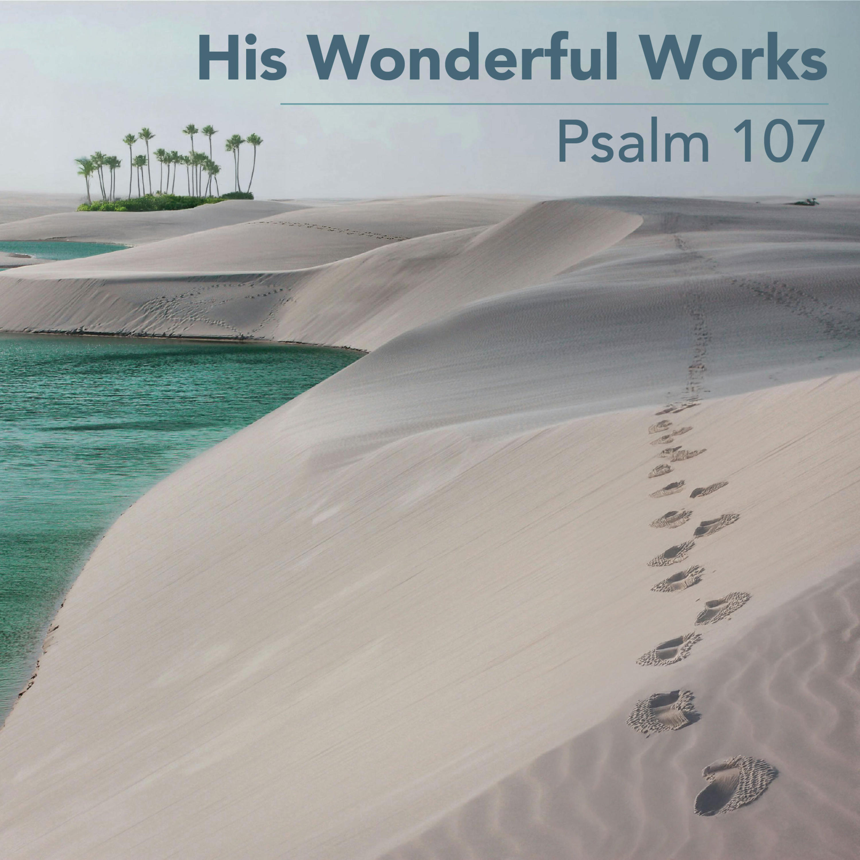 His Wonderful Works | Psalm 107