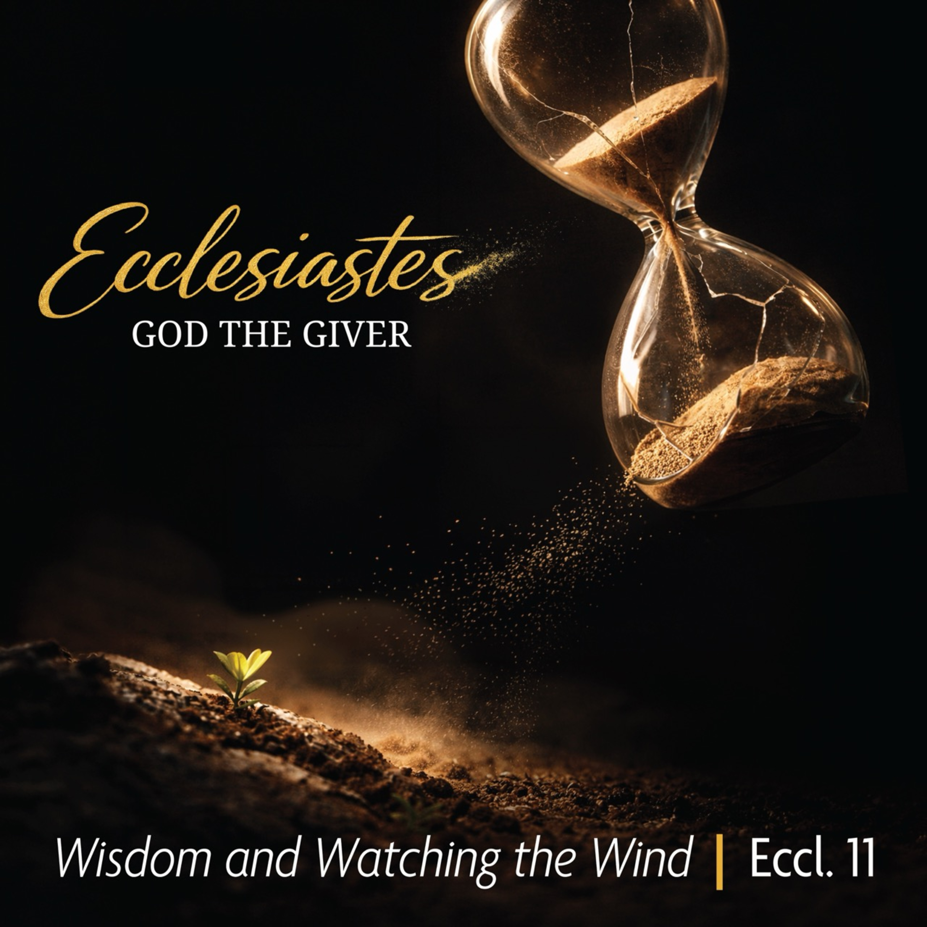 Reverberate: A Berean Bible Church Podcast | Knoxville, TN