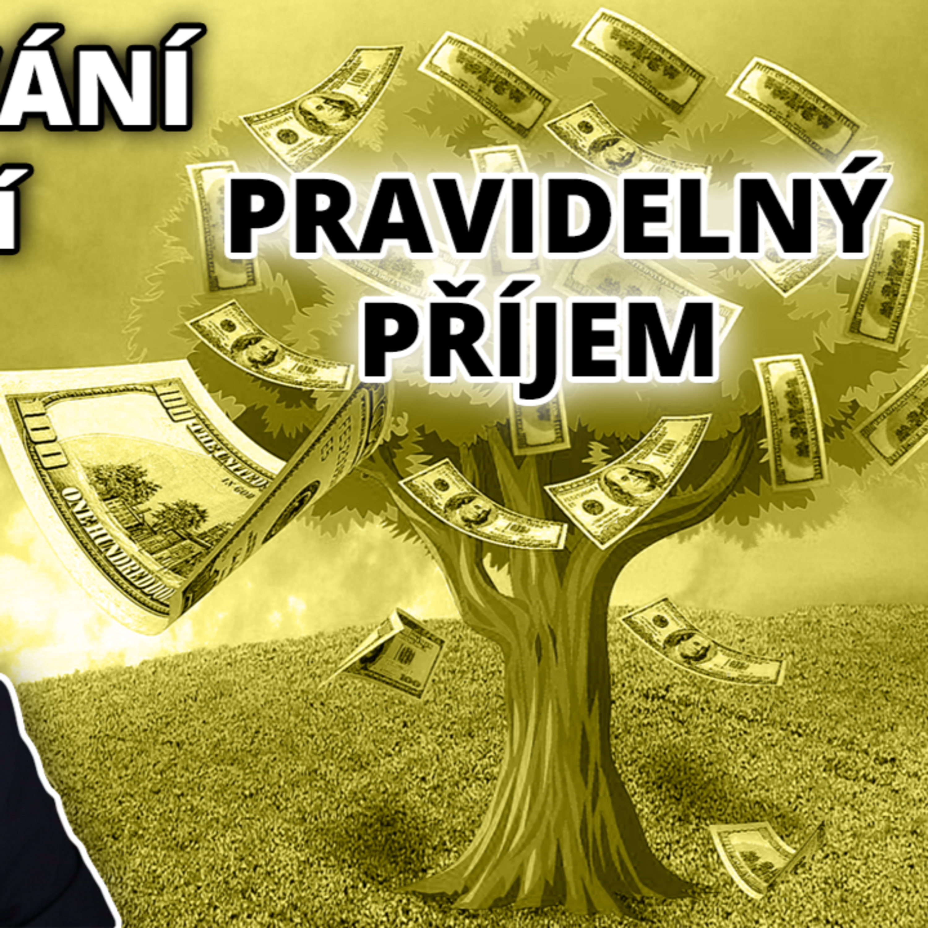 Investování do akcií s Jindřichem Pokorou