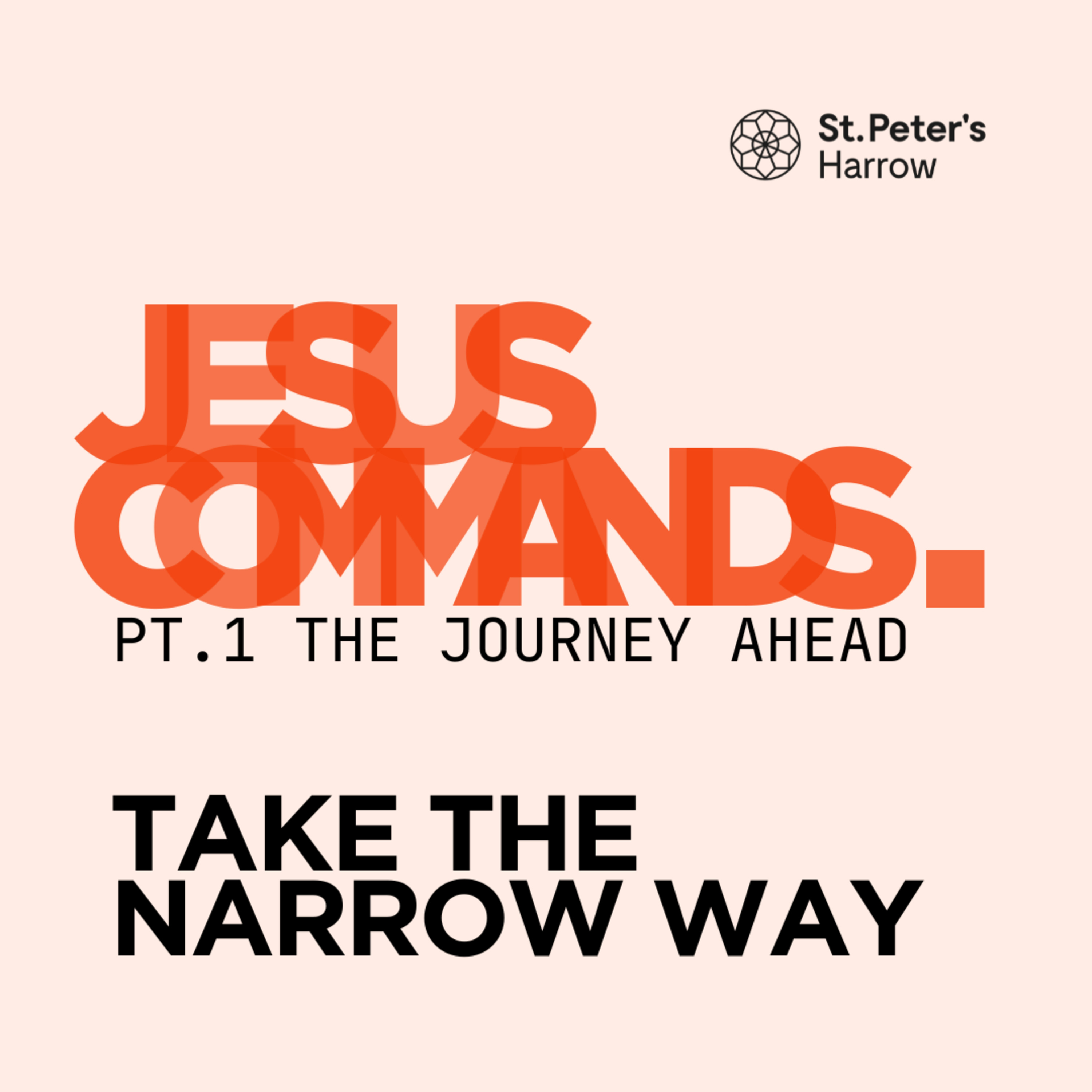 Take The Narrow Way - Mohan Seevaratnam episode artwork