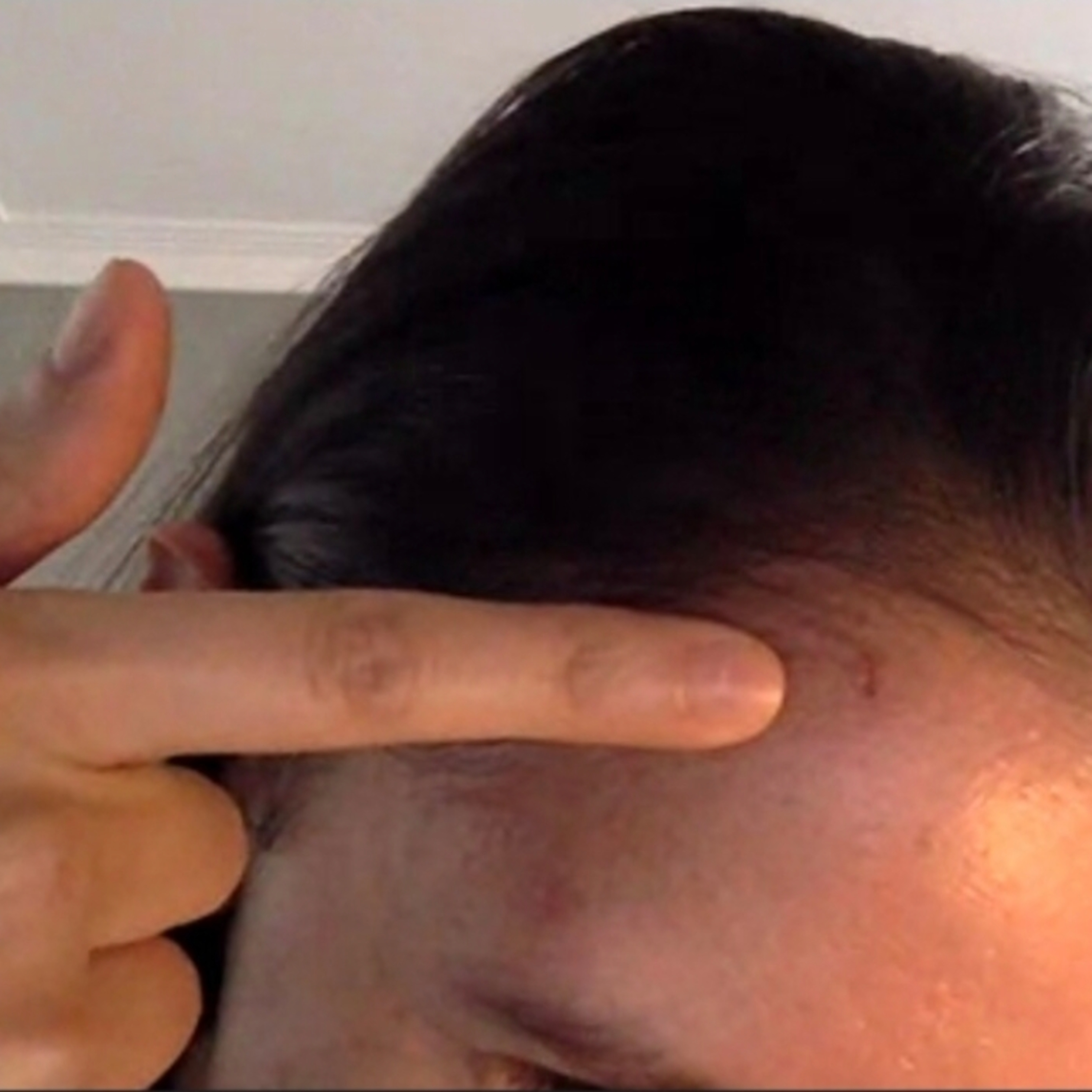 Stormfest ...and many many more!