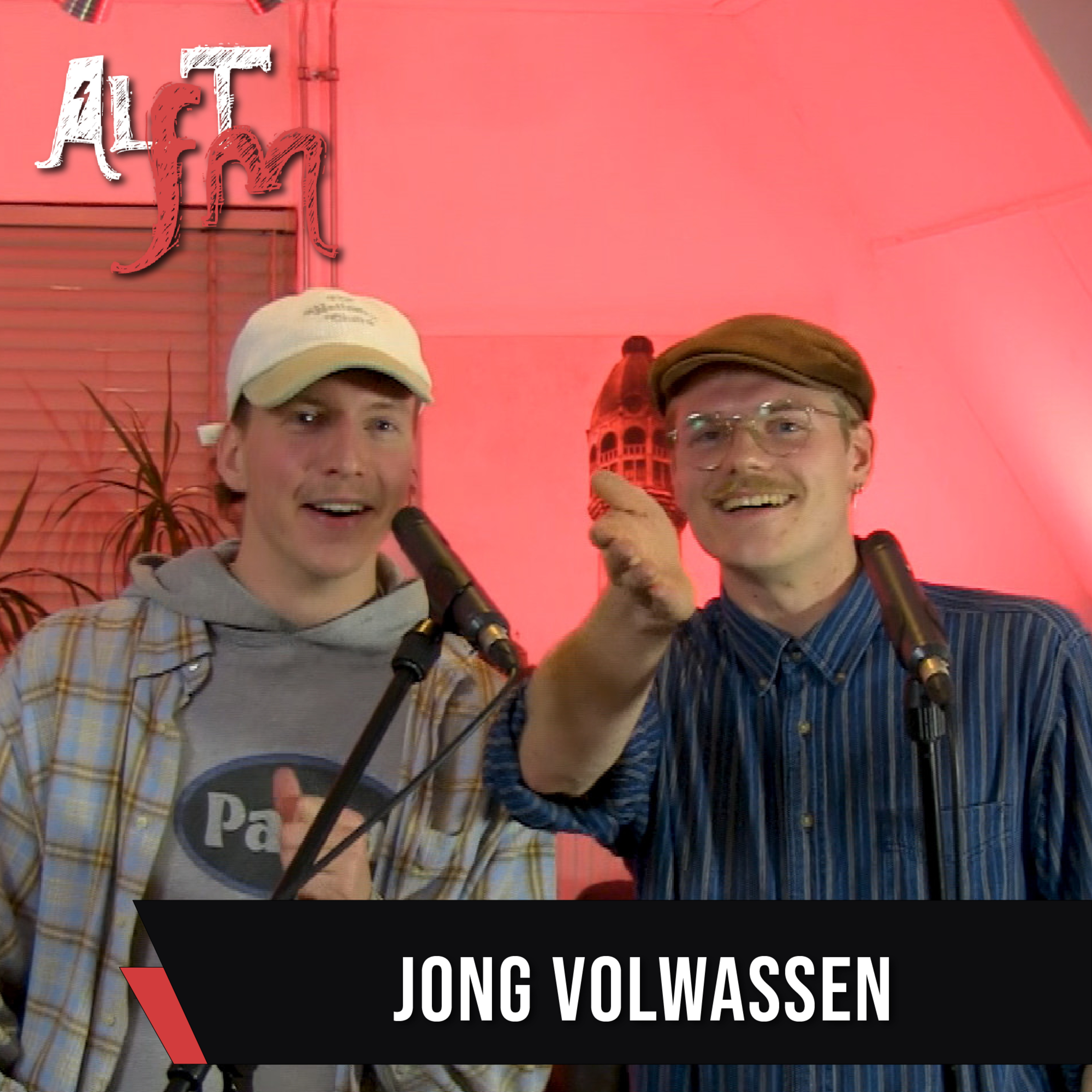 AlternativeFM