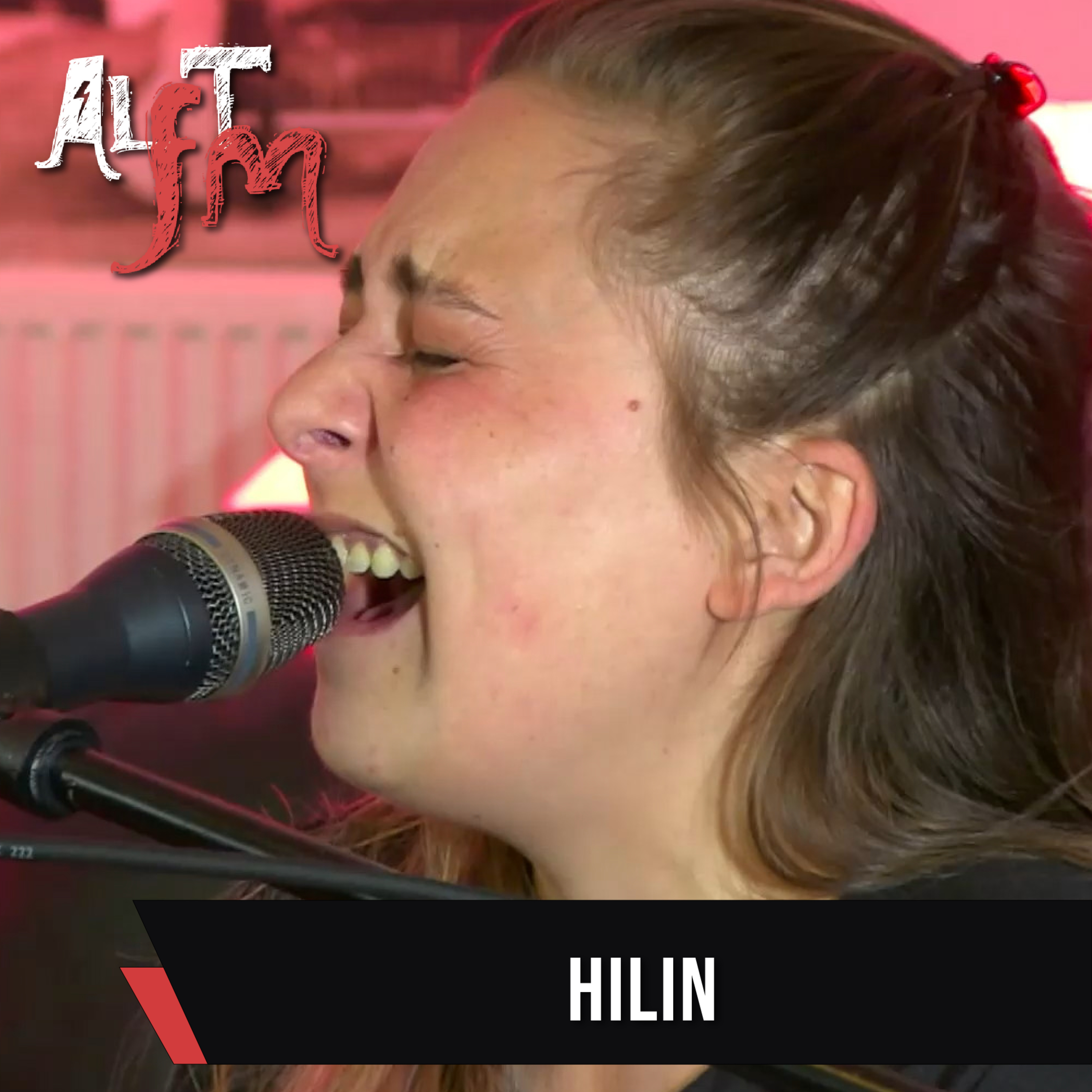 AlternativeFM