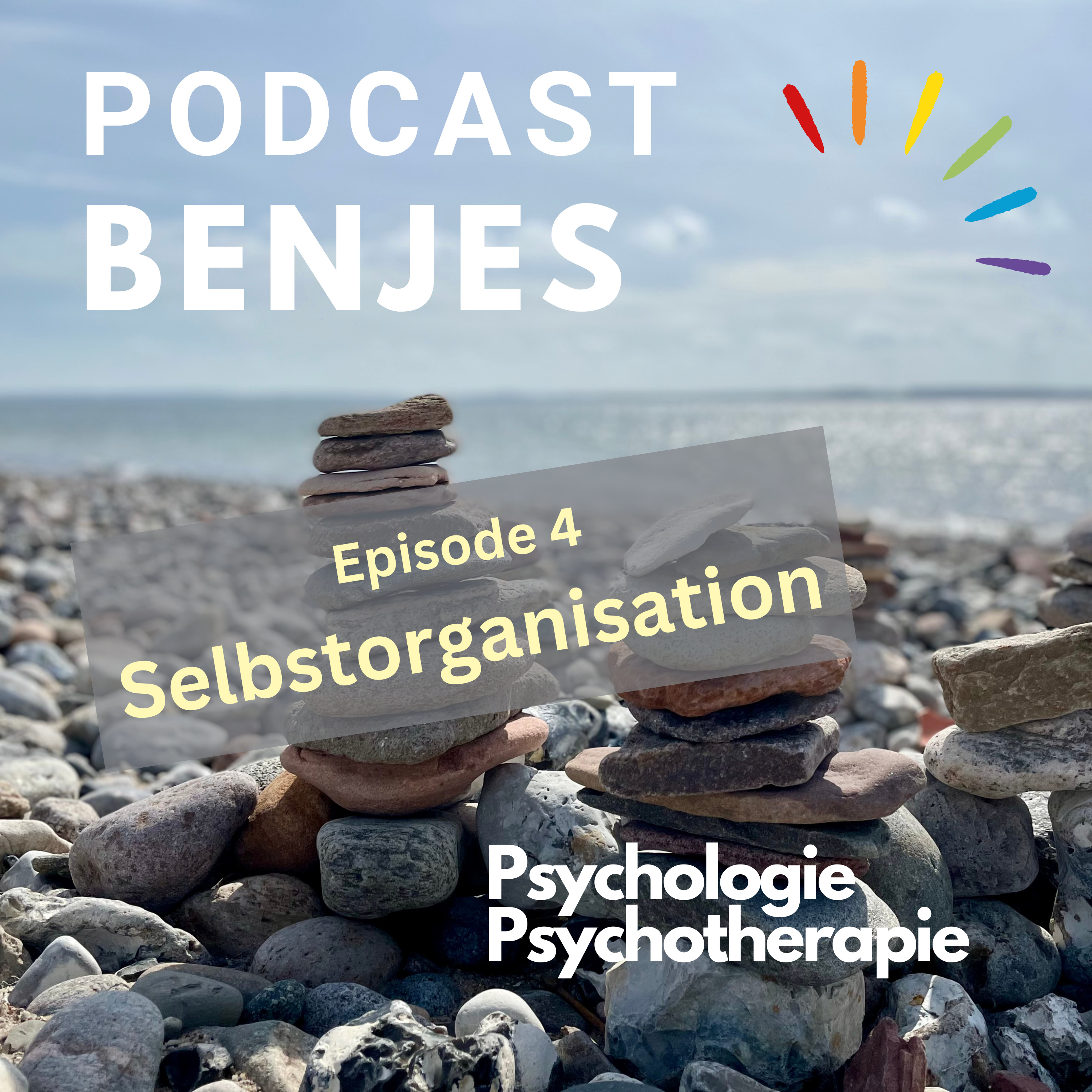 Selbstorganisation episode artwork
