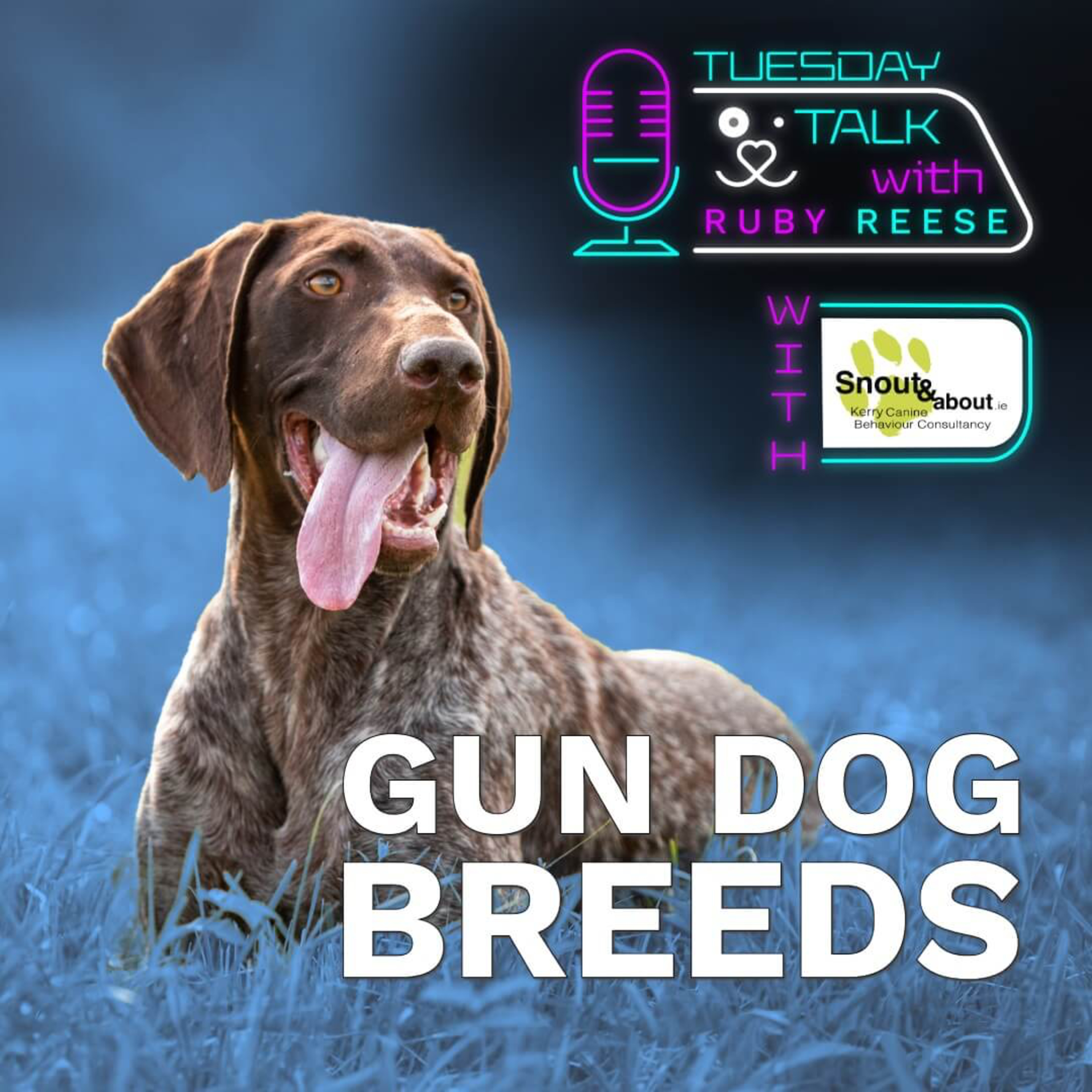 Tuesday Talks with Ruby Reese