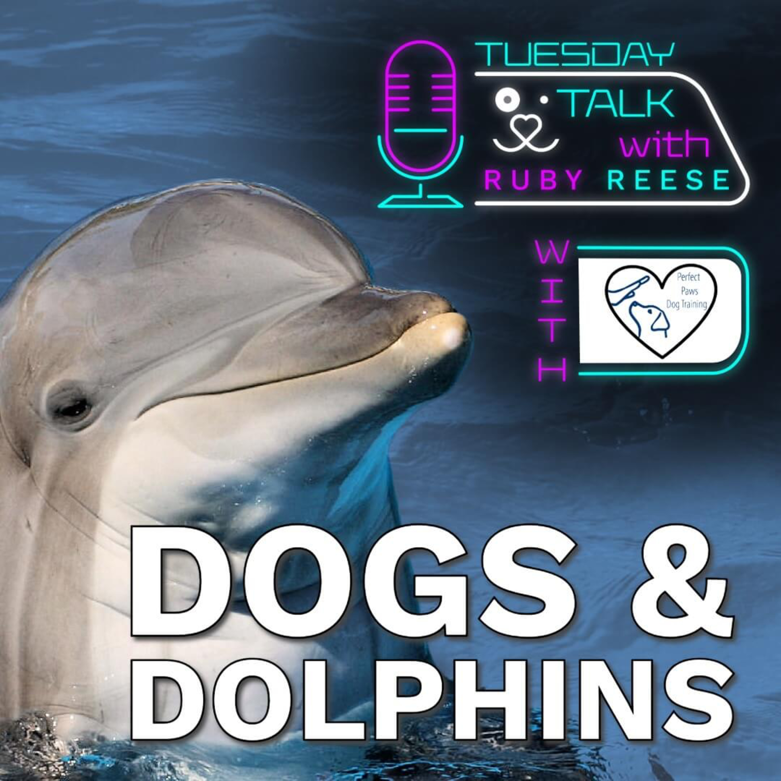 Tuesday Talks with Ruby Reese
