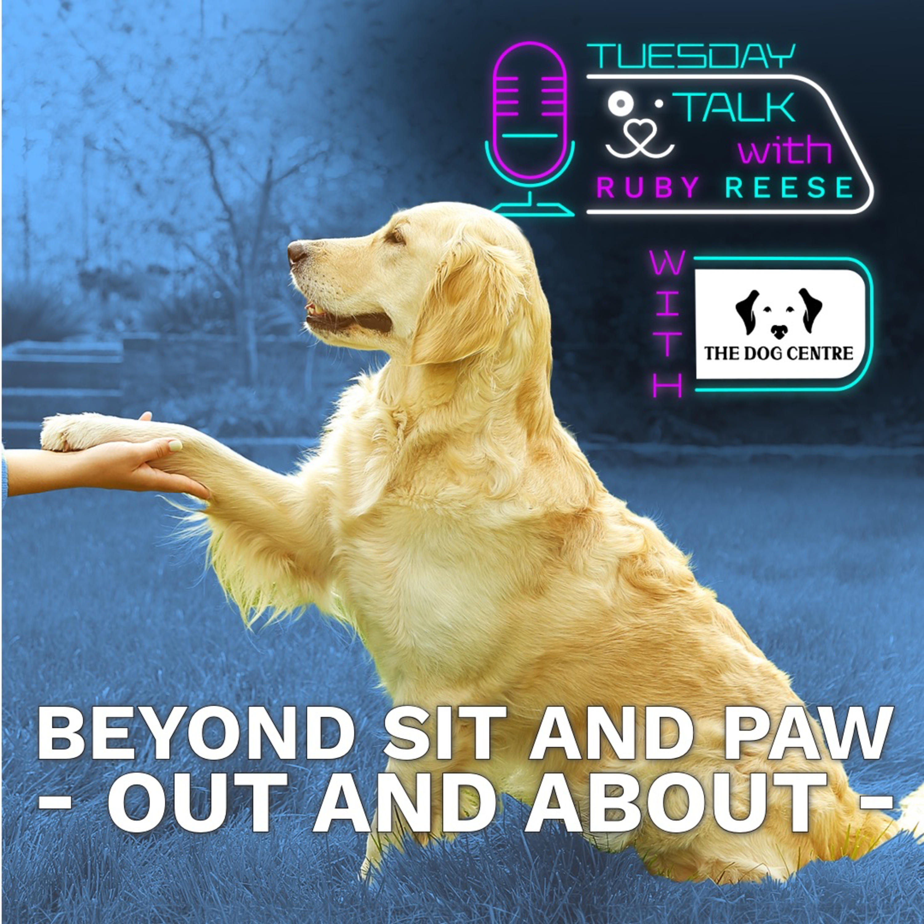 Tuesday Talks with Ruby Reese