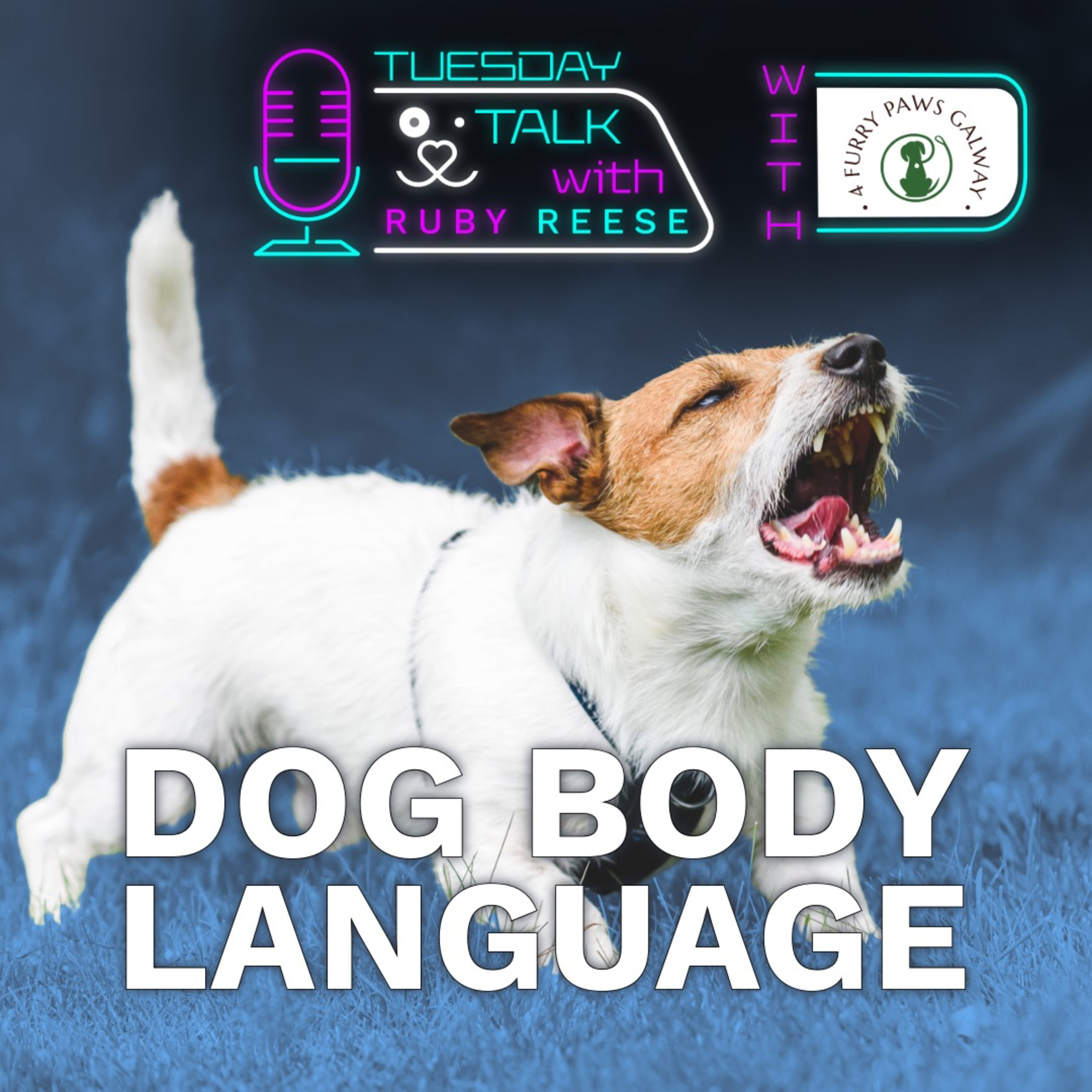 Tuesday Talks with Ruby Reese