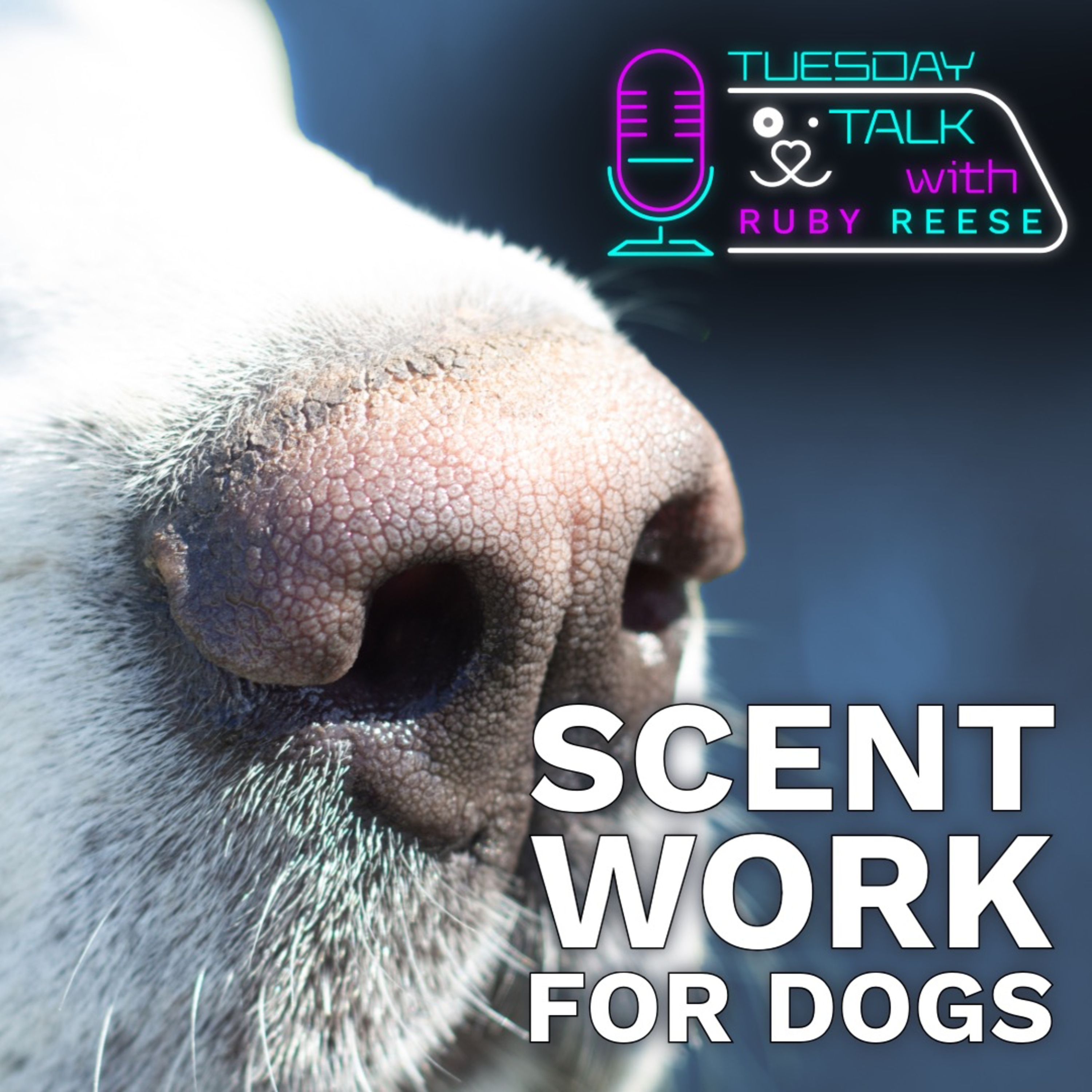 Tuesday Talks with Ruby Reese