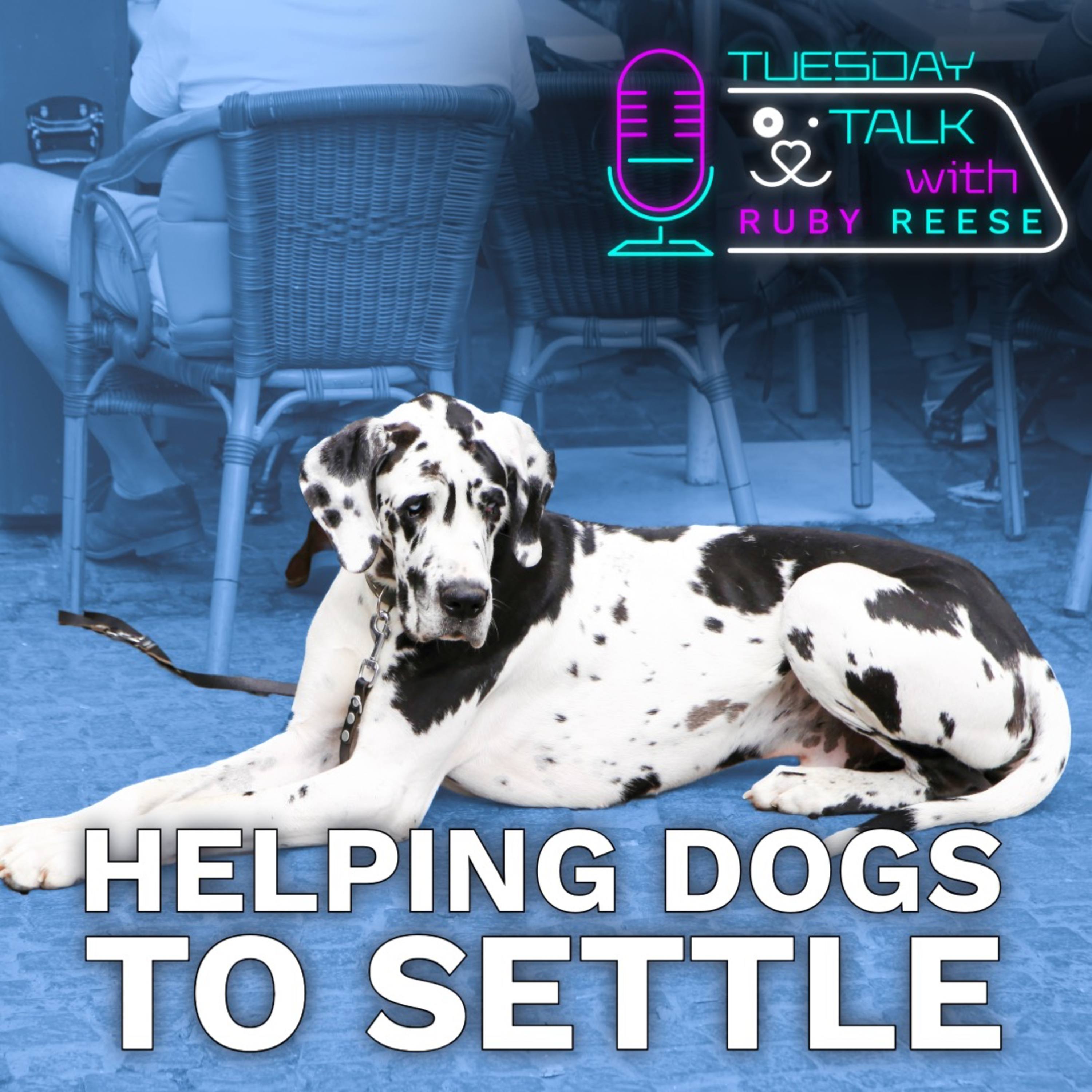 Tuesday Talks with Ruby Reese