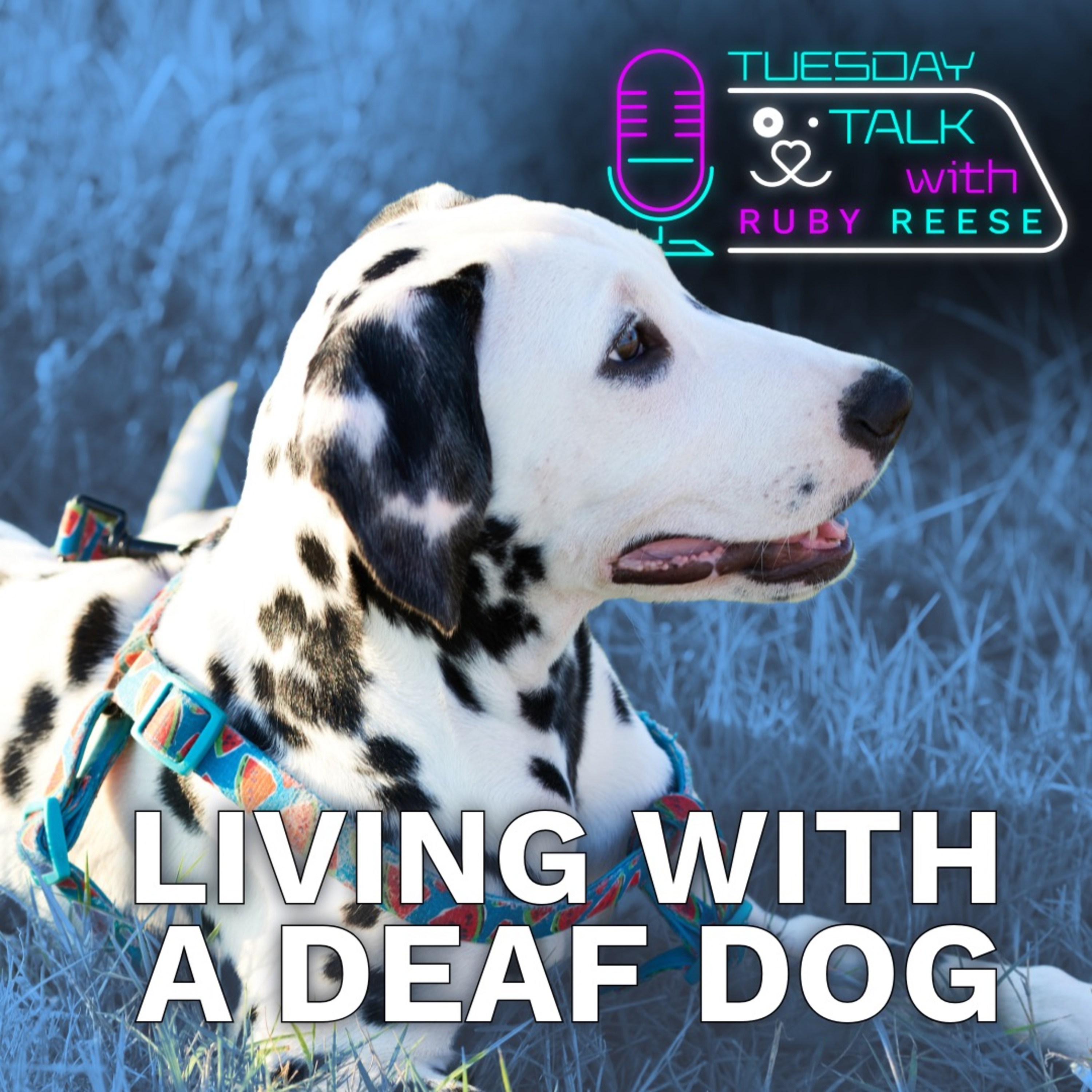 Tuesday Talks with Ruby Reese